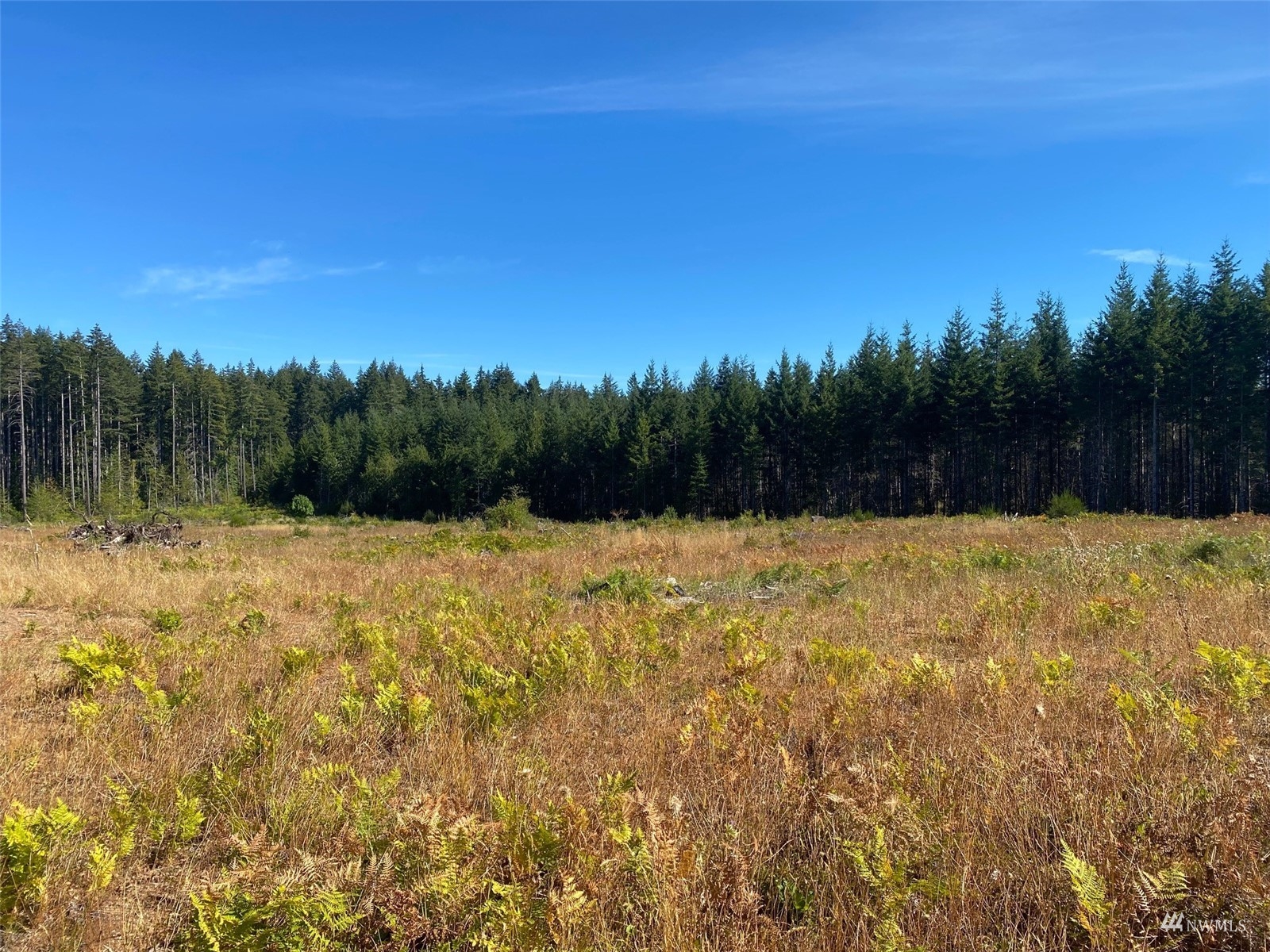 0 Lot 6 SE Mill Creek Road