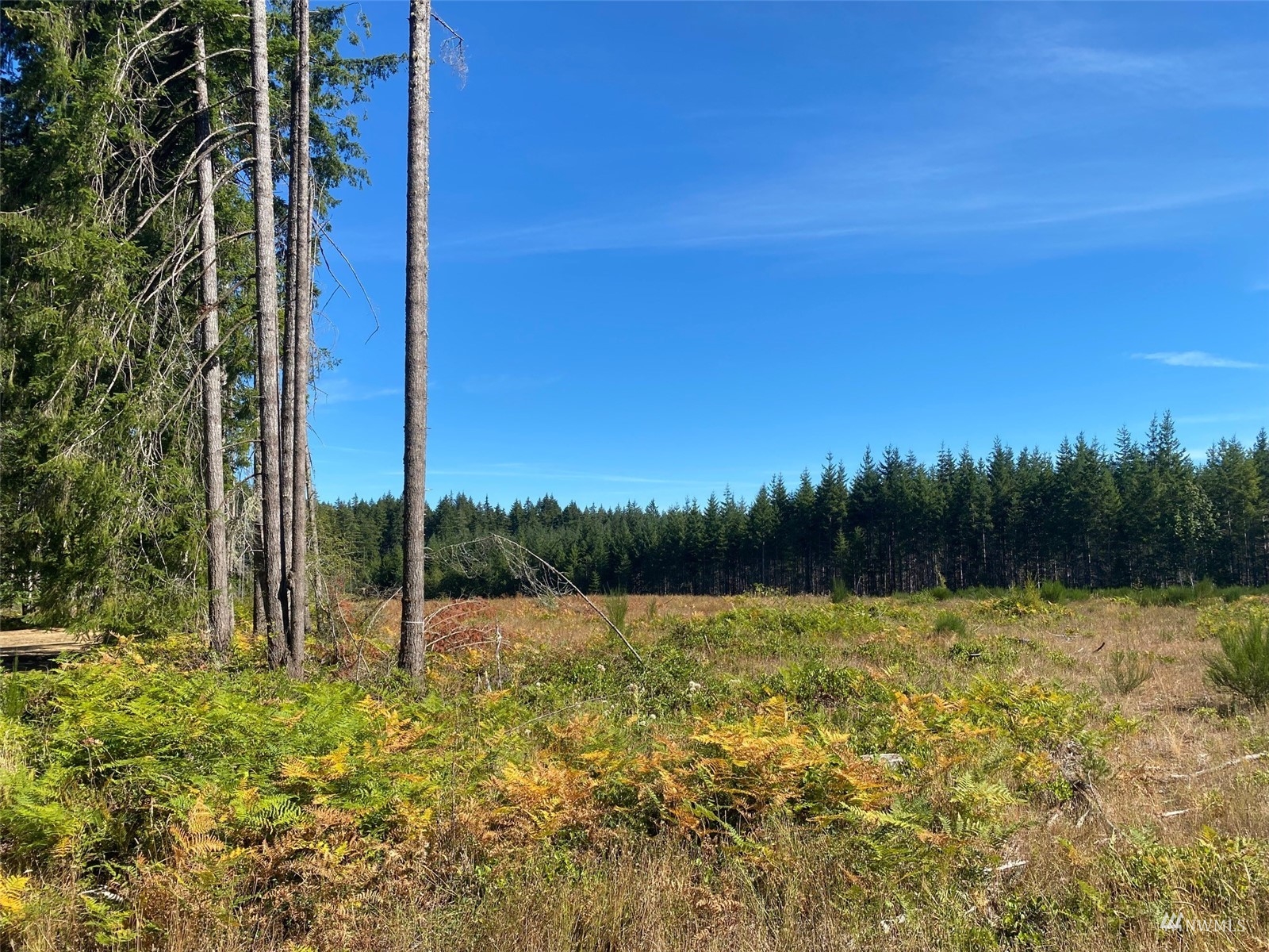 0 Lot 6 SE Mill Creek Road