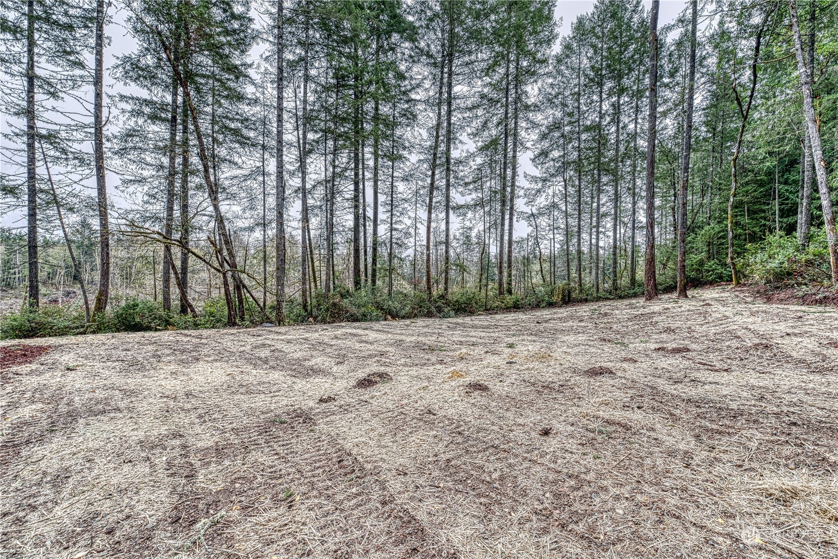 17510 26th Street SW