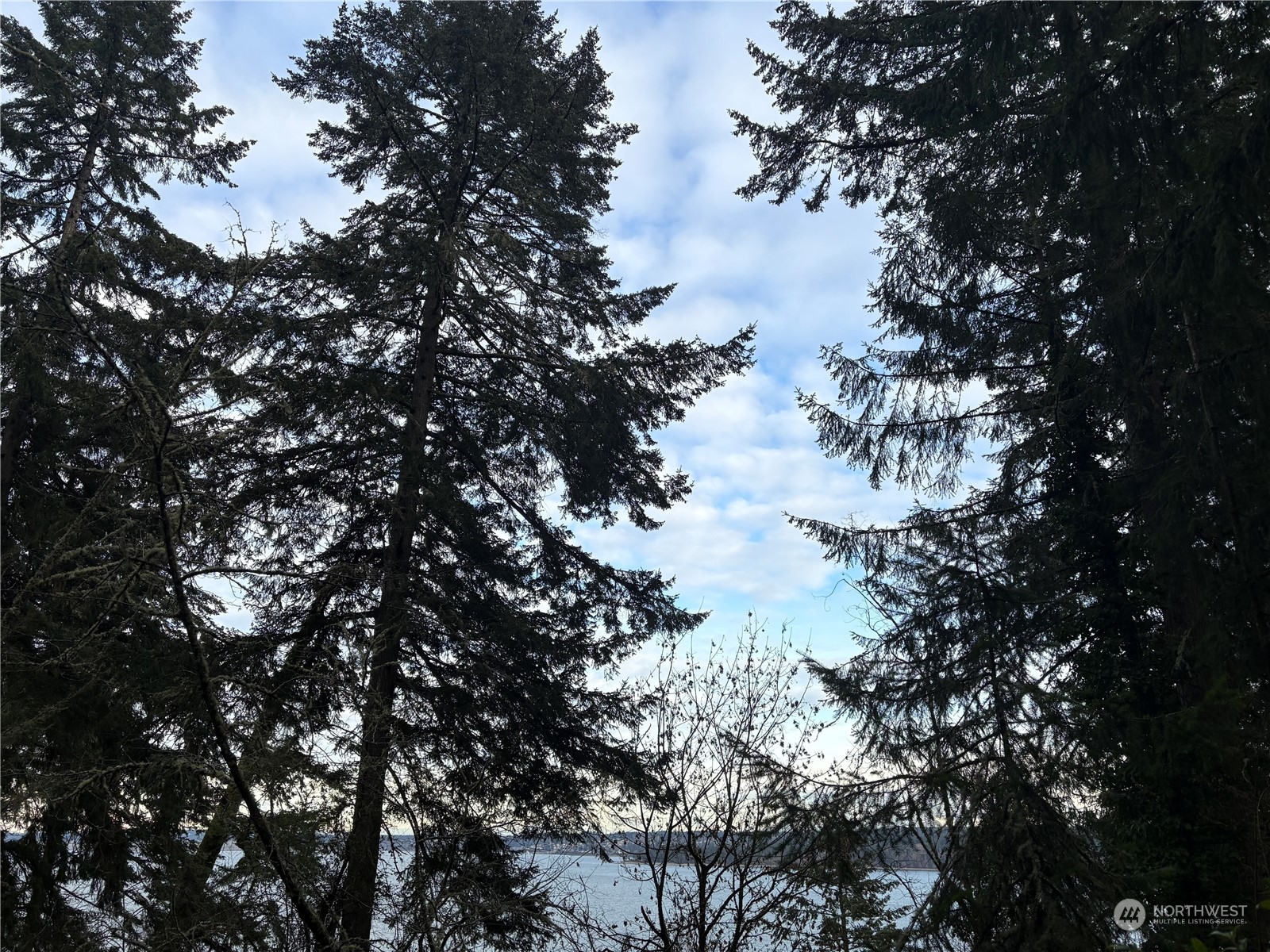 10111 Totem Way