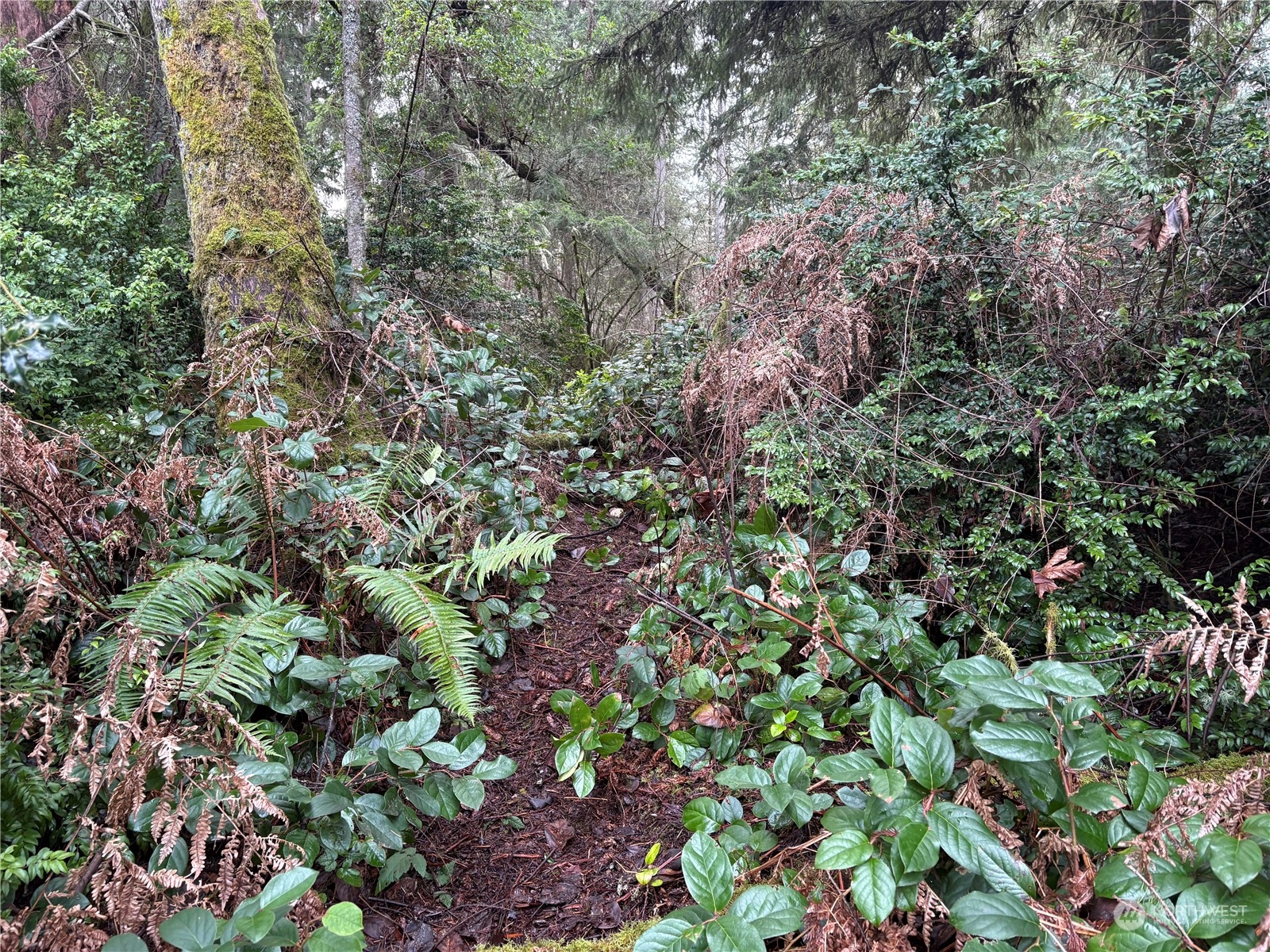 10111 Totem Way