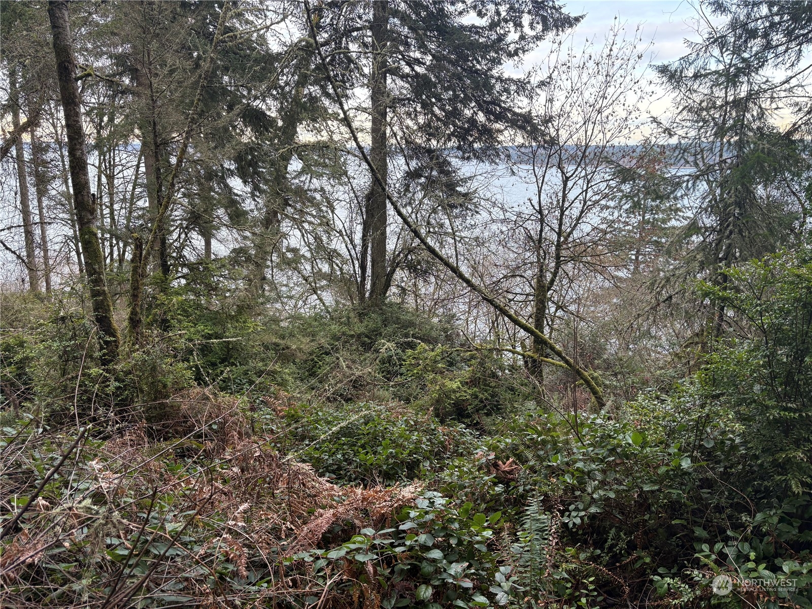 10111 Totem Way