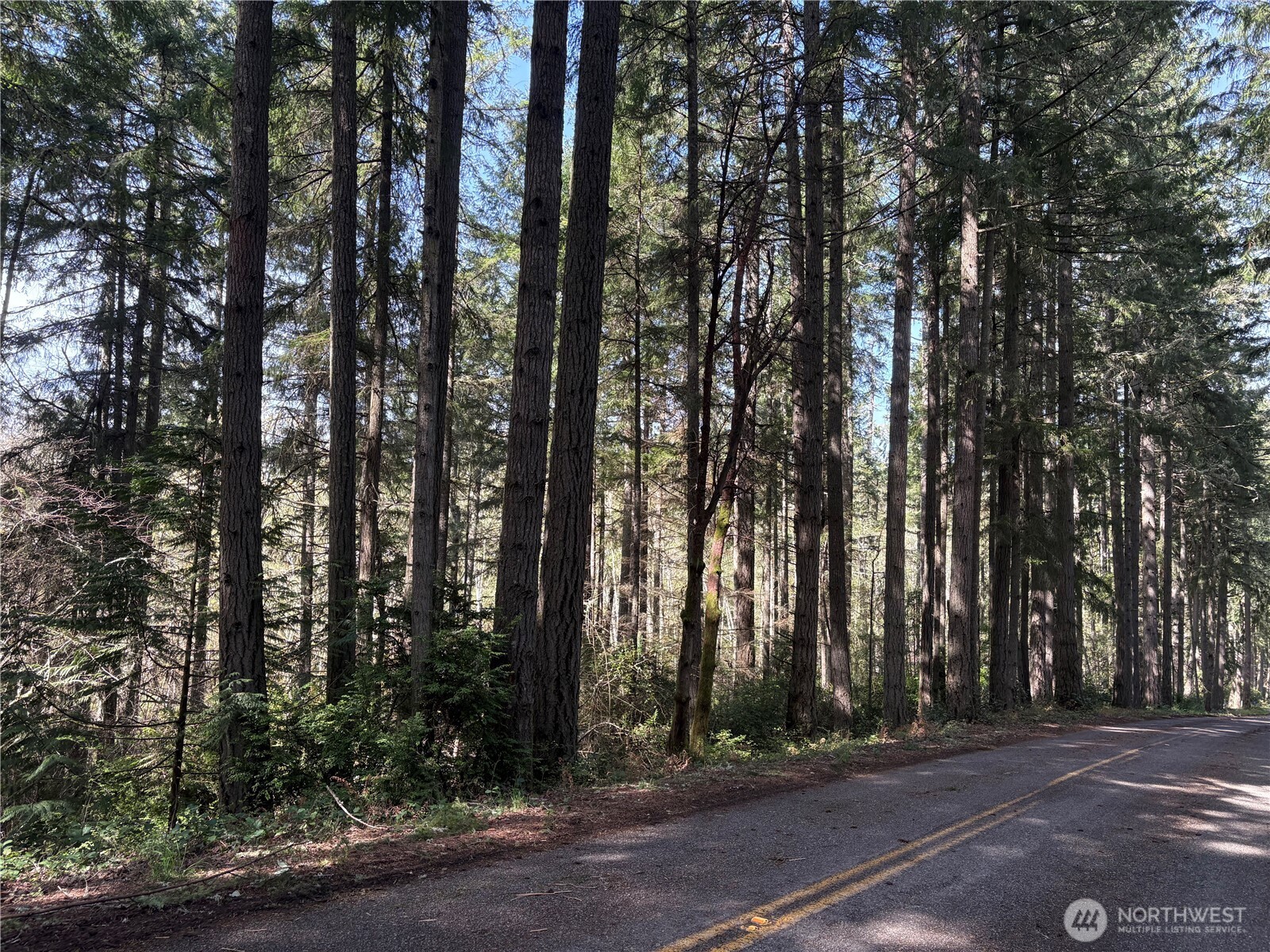 9538 Steffenson Road