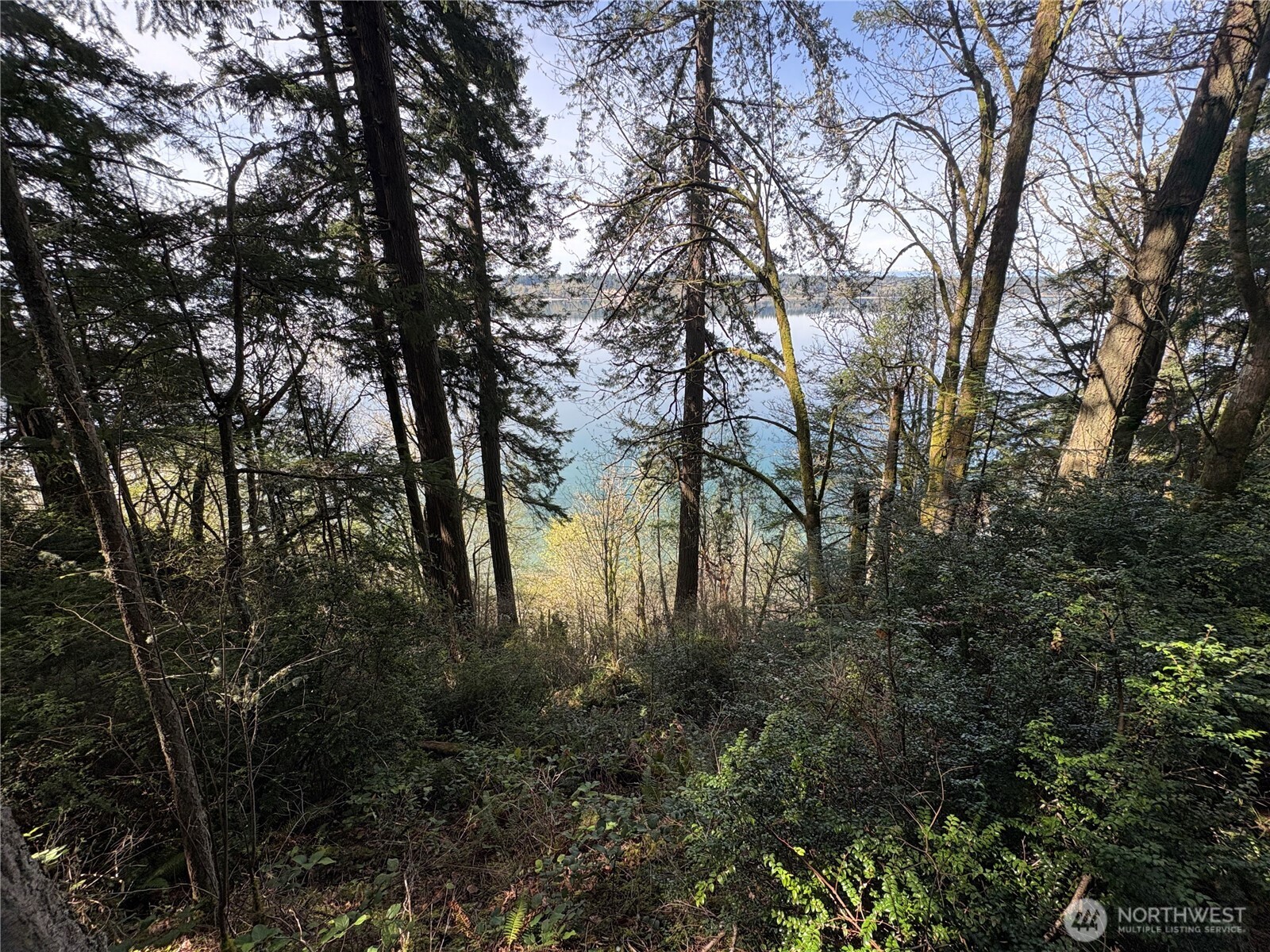 9538 Steffenson Road
