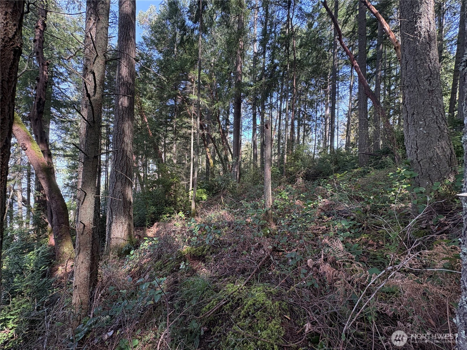9538 Steffenson Road