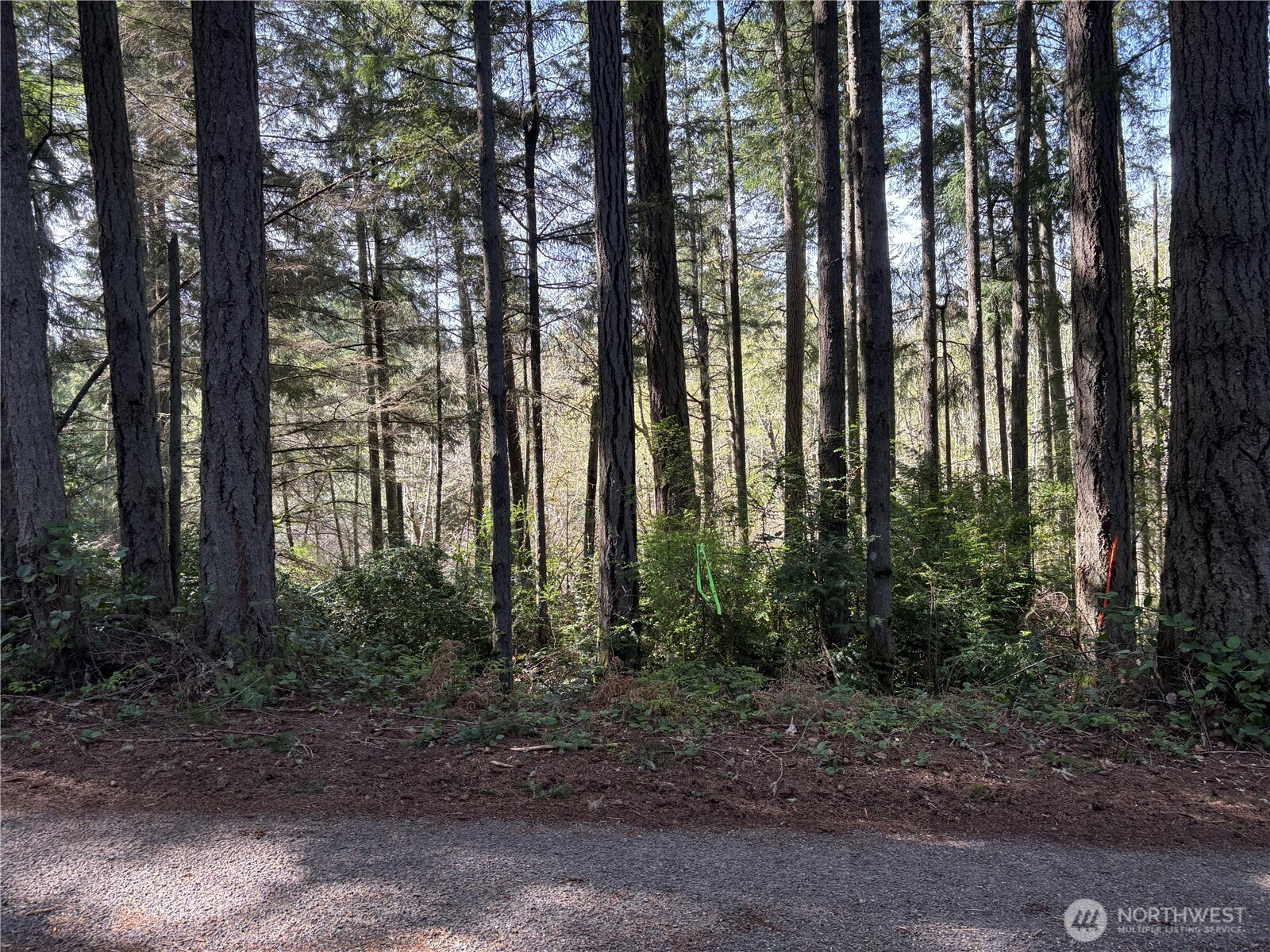 9538 Steffenson Road