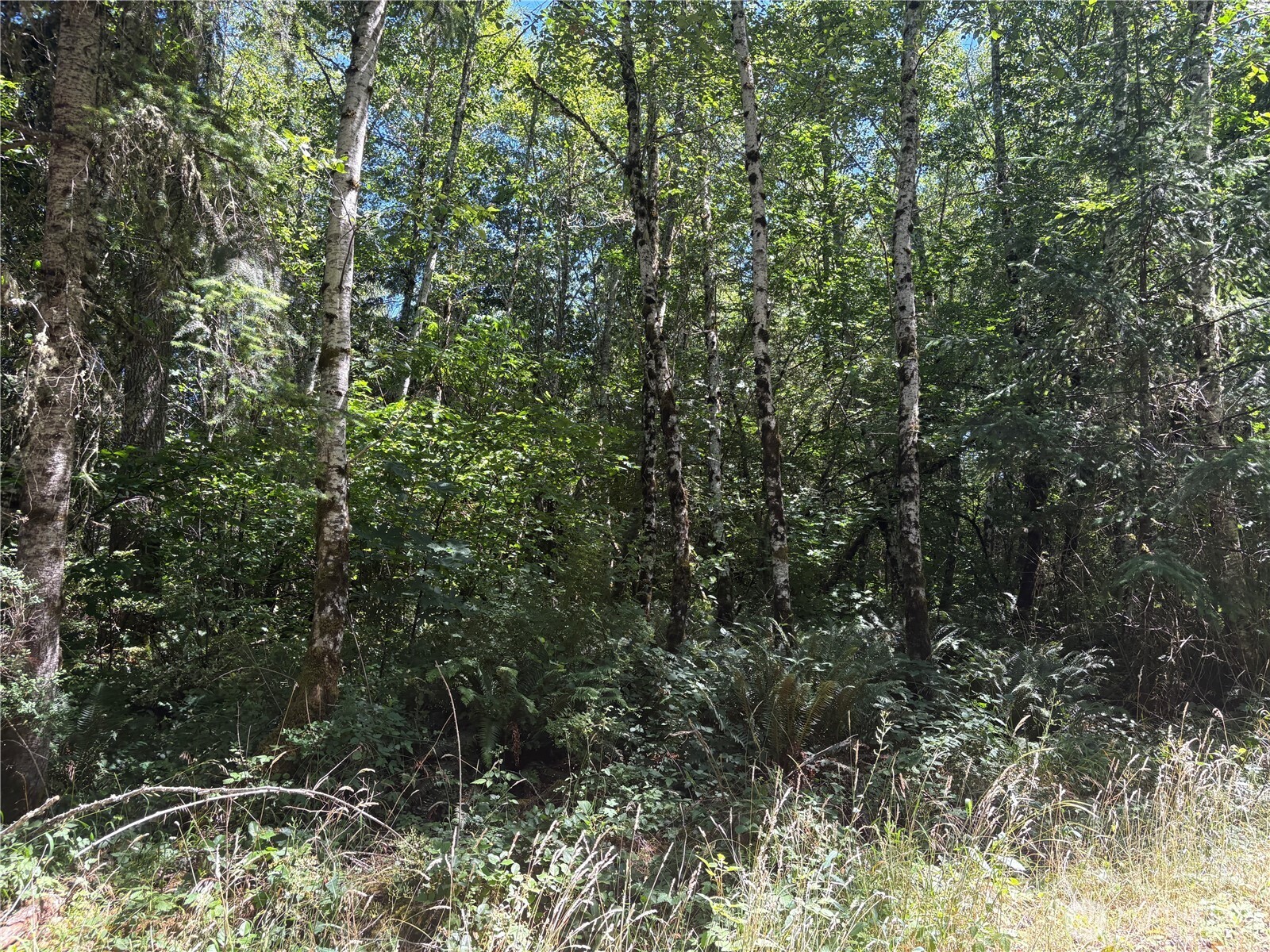 0 Hope Creek Road