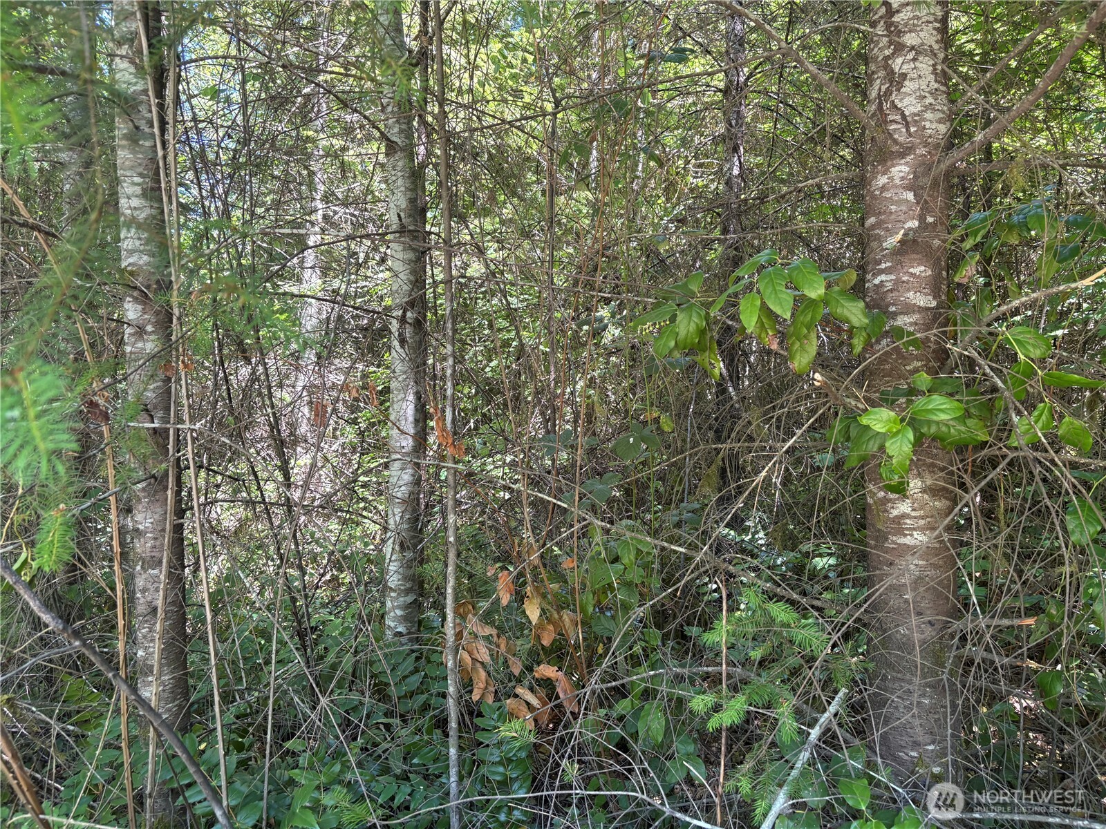 0 Hope Creek Road