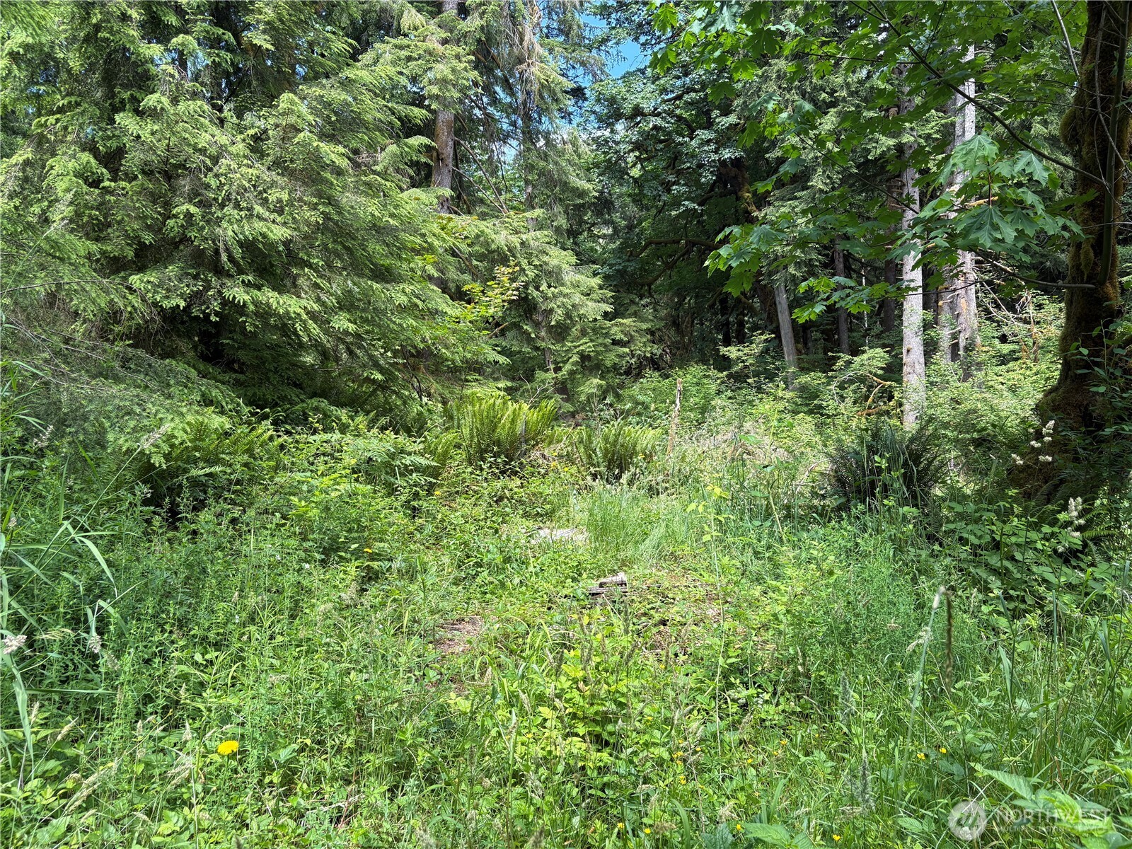 0 Pigeon Springs Road