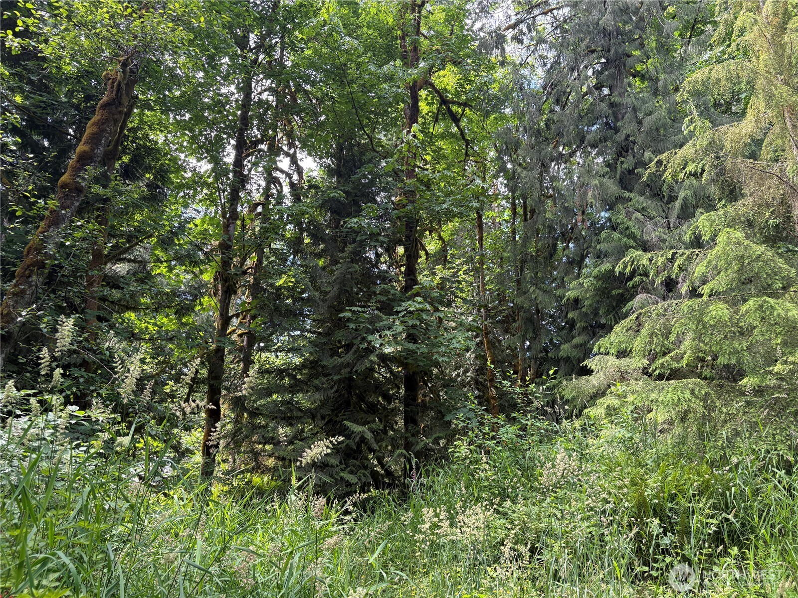 0 Pigeon Springs Road