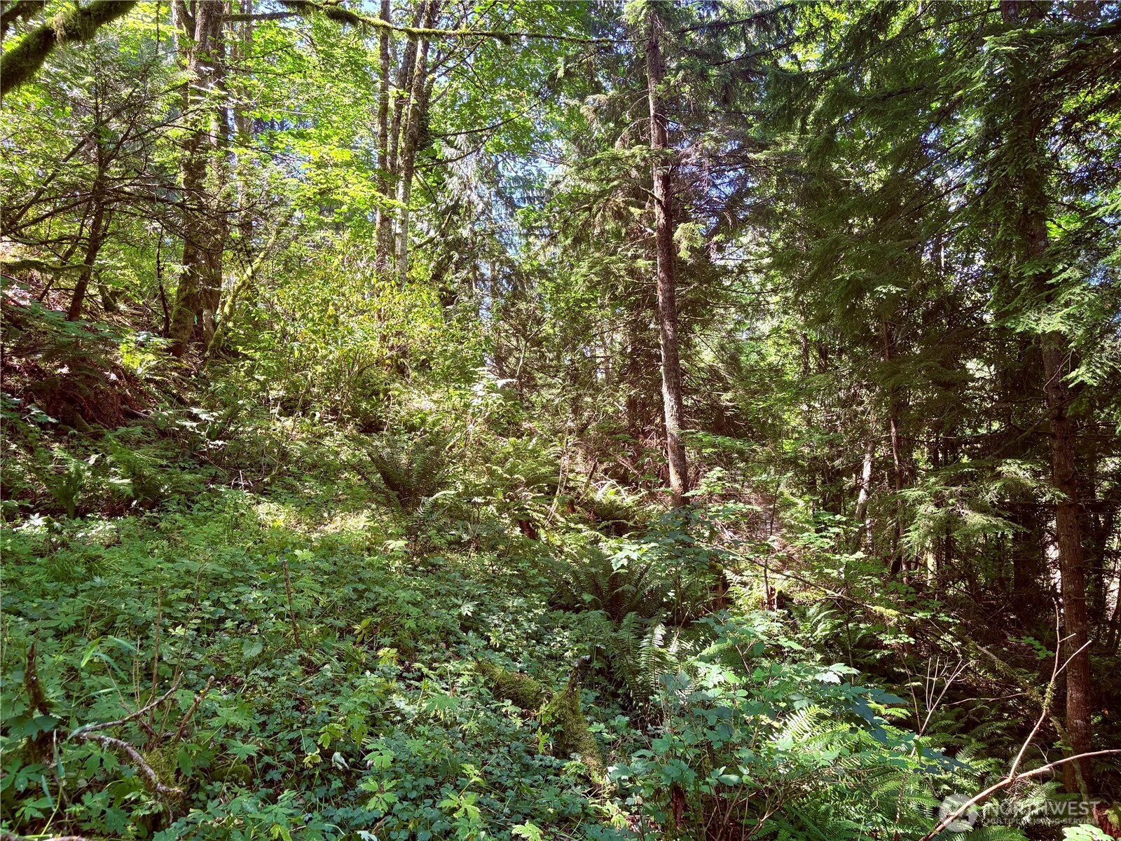 0 E Lake Walker Drive SE