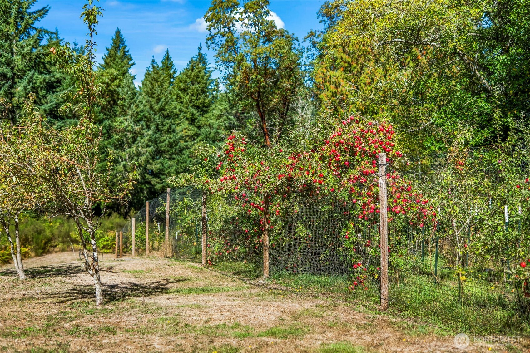 16921 80th Street SW