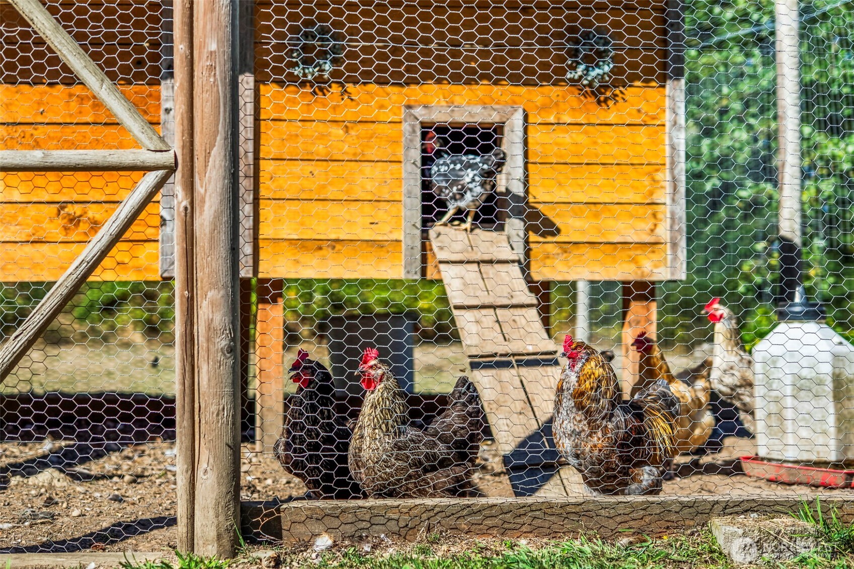 16921 80th Street SW