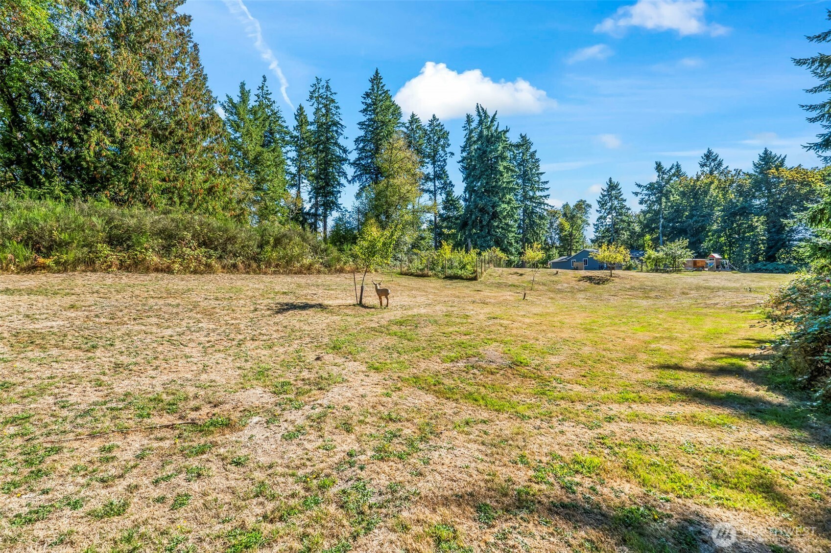 16921 80th Street SW