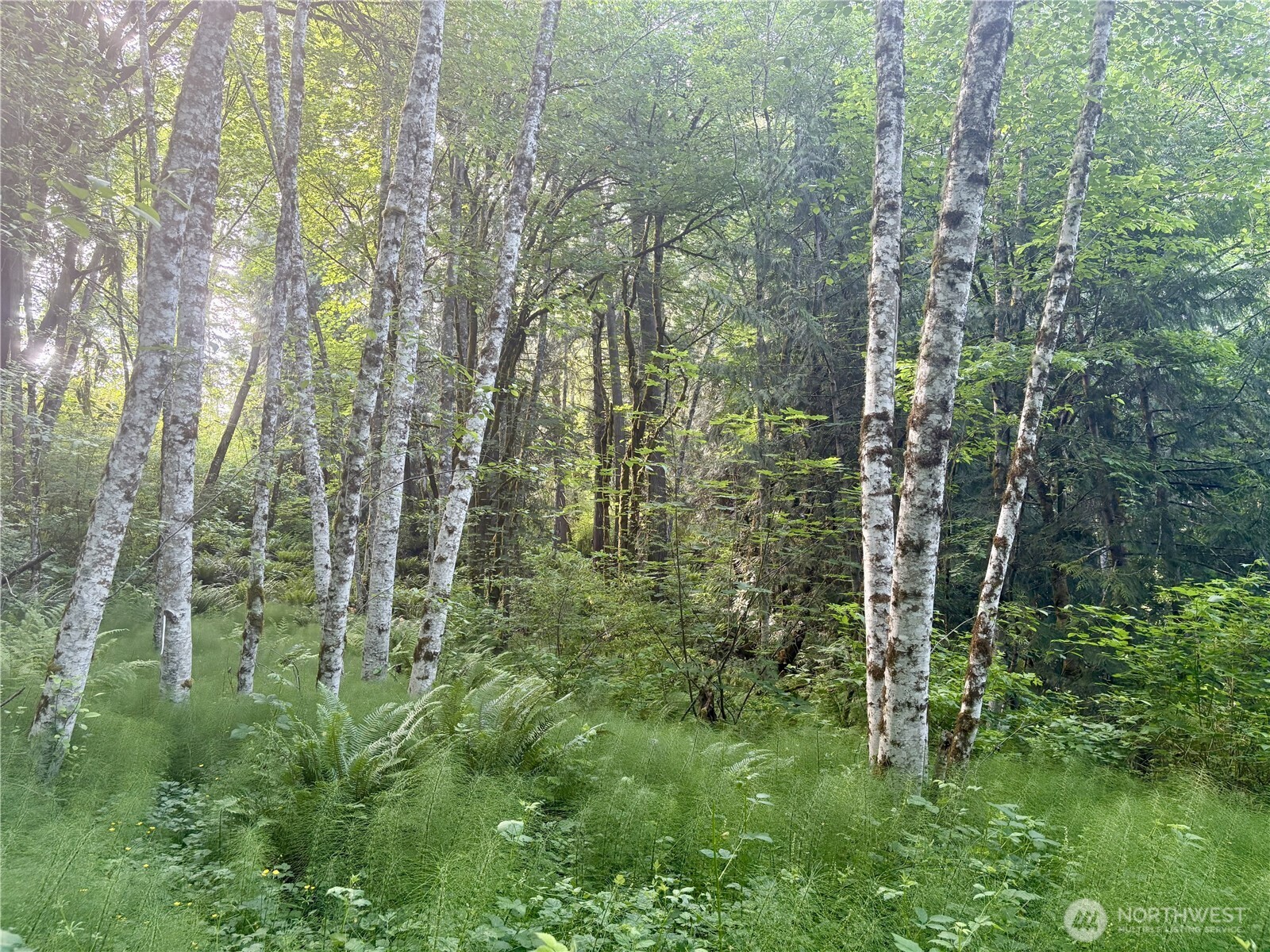 20249 State Route 305 NE