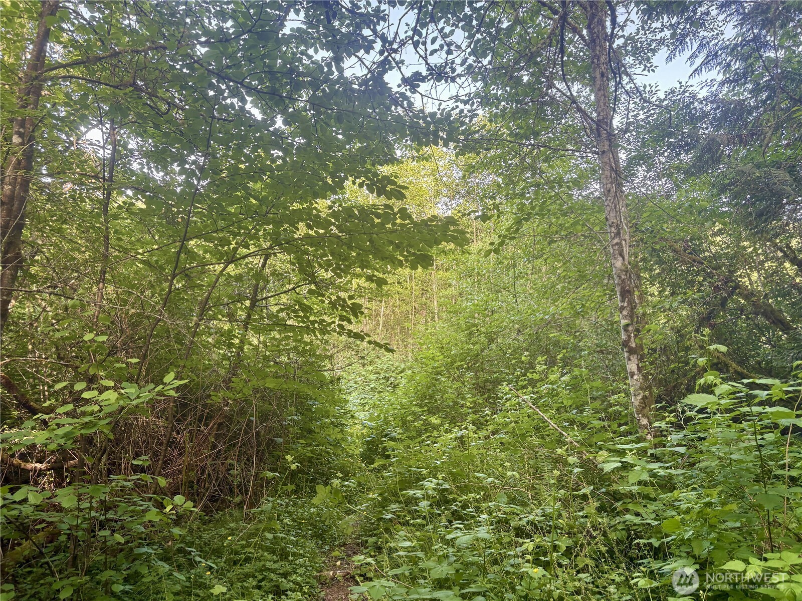 20249 State Route 305 NE