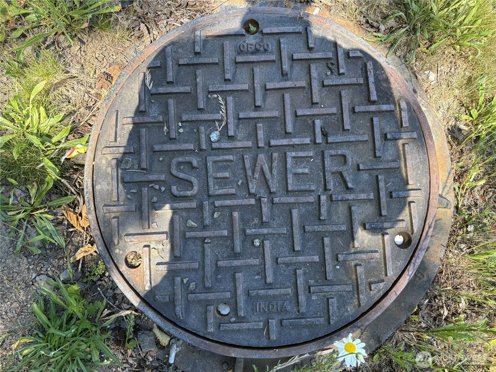 Sewer manhole cover amid grass and weeds, with raised lettering and a patterned surface.