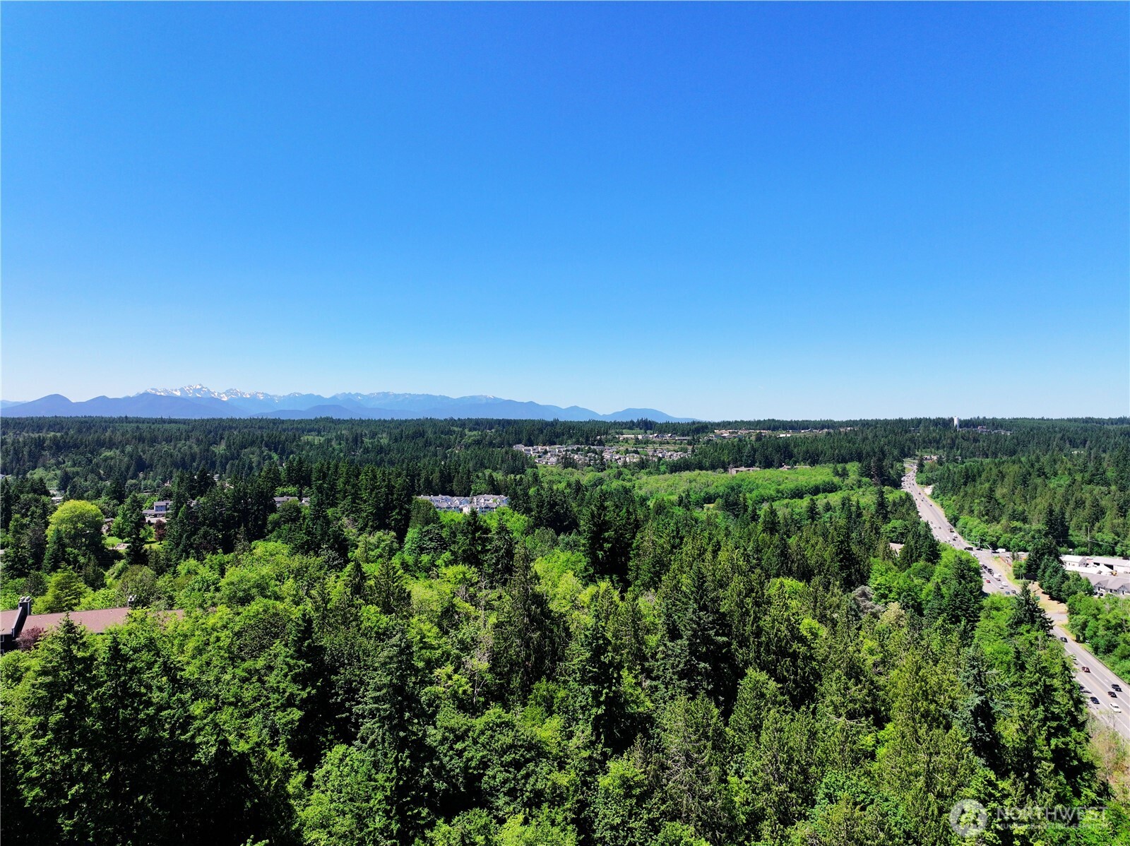 Aerial view of forest, State Route 305, nearby homes, and distant mountains.