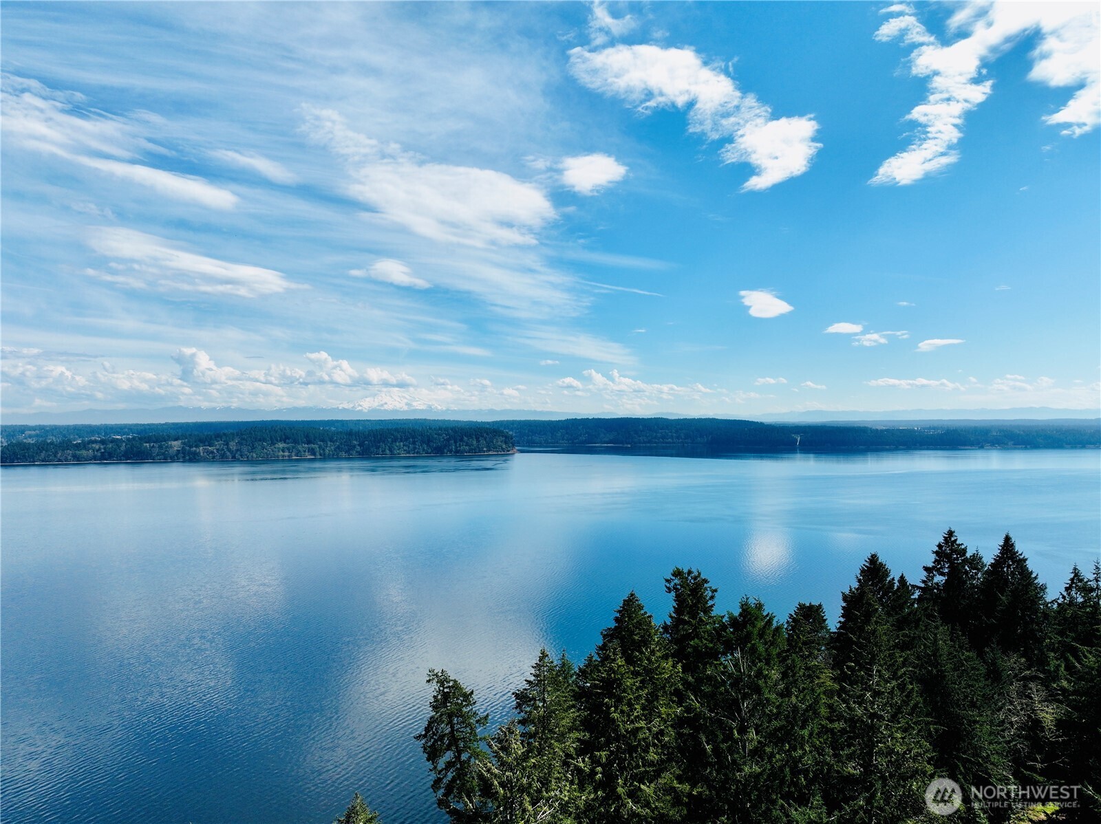 Water view across a forested shoreline toward distant snow-capped mountains, framed by evergreen treetops.