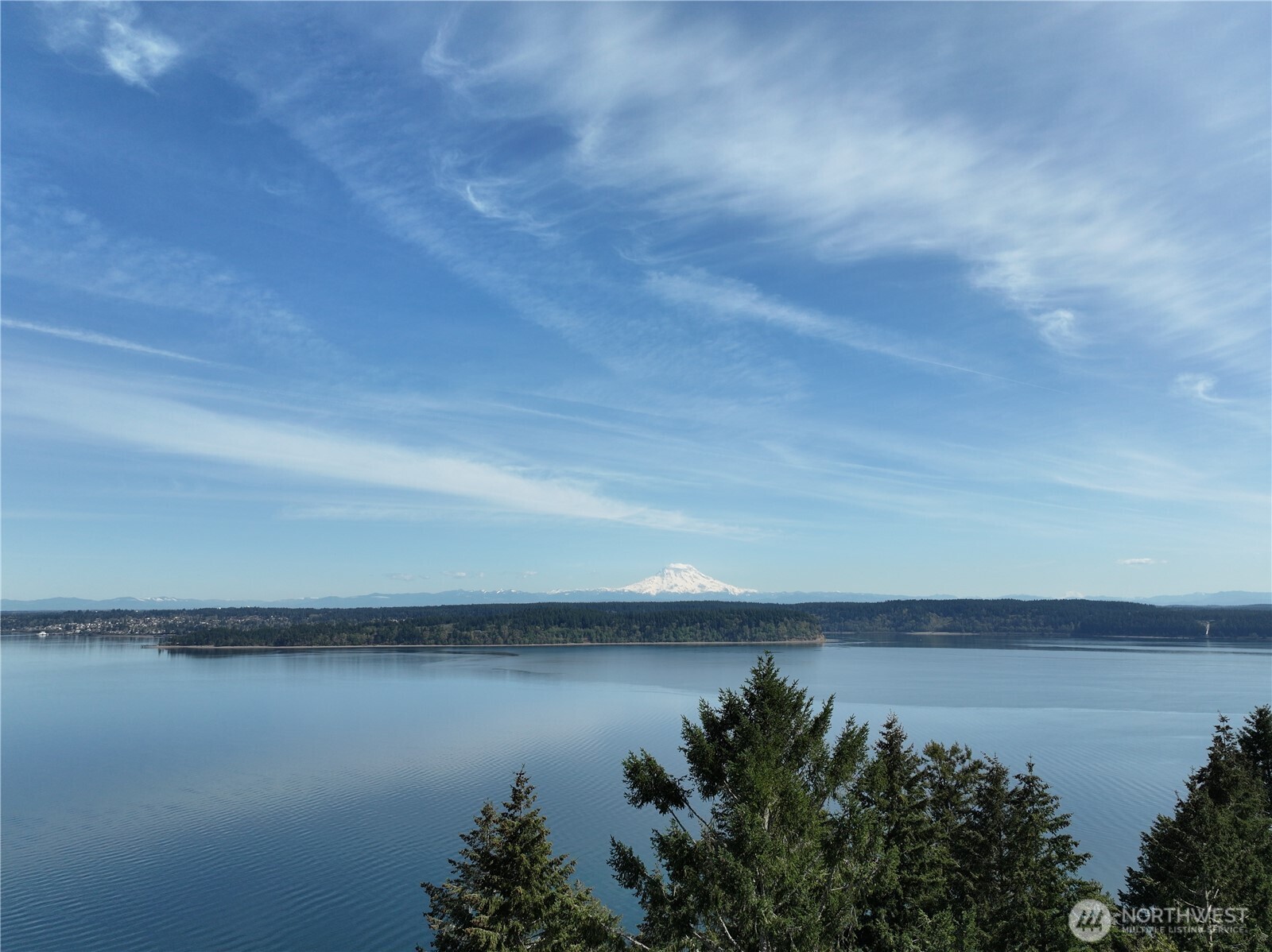 Calm water and forested shoreline with Mount Rainier visible in the distance.