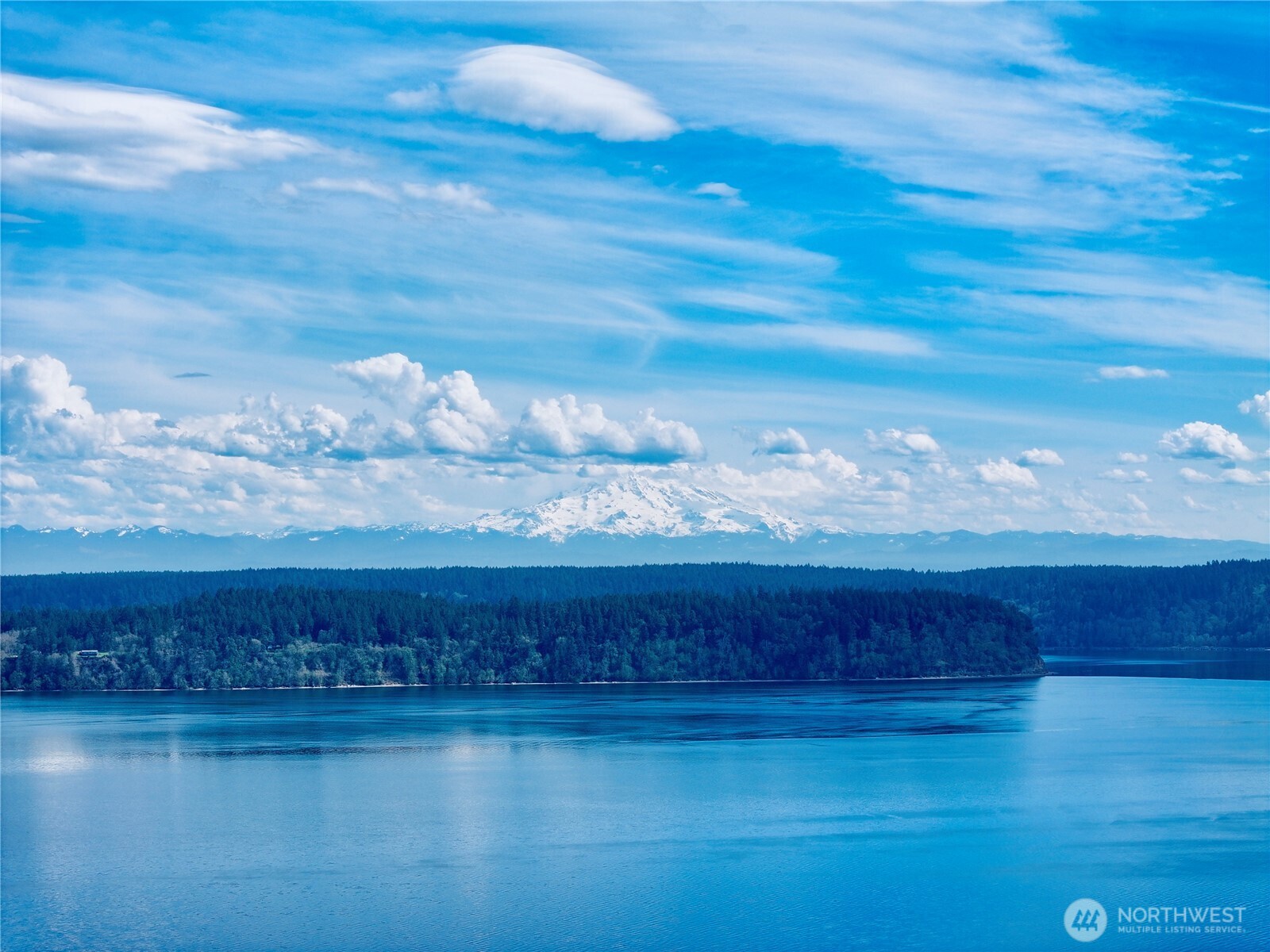 Water and forested shoreline with a snow-covered mountain in the distance.