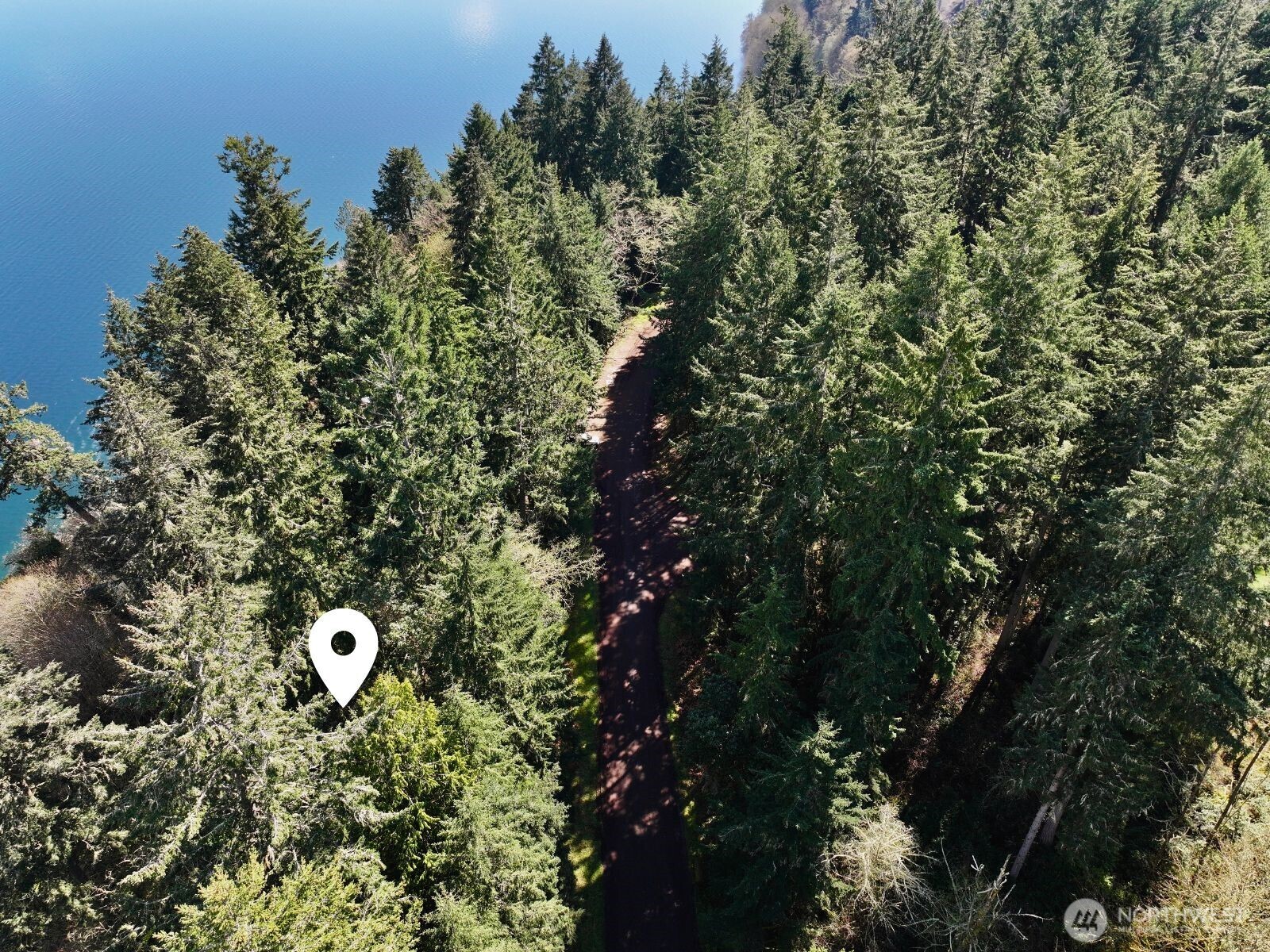 Aerial view of wooded land with a dirt road and water along the shoreline.