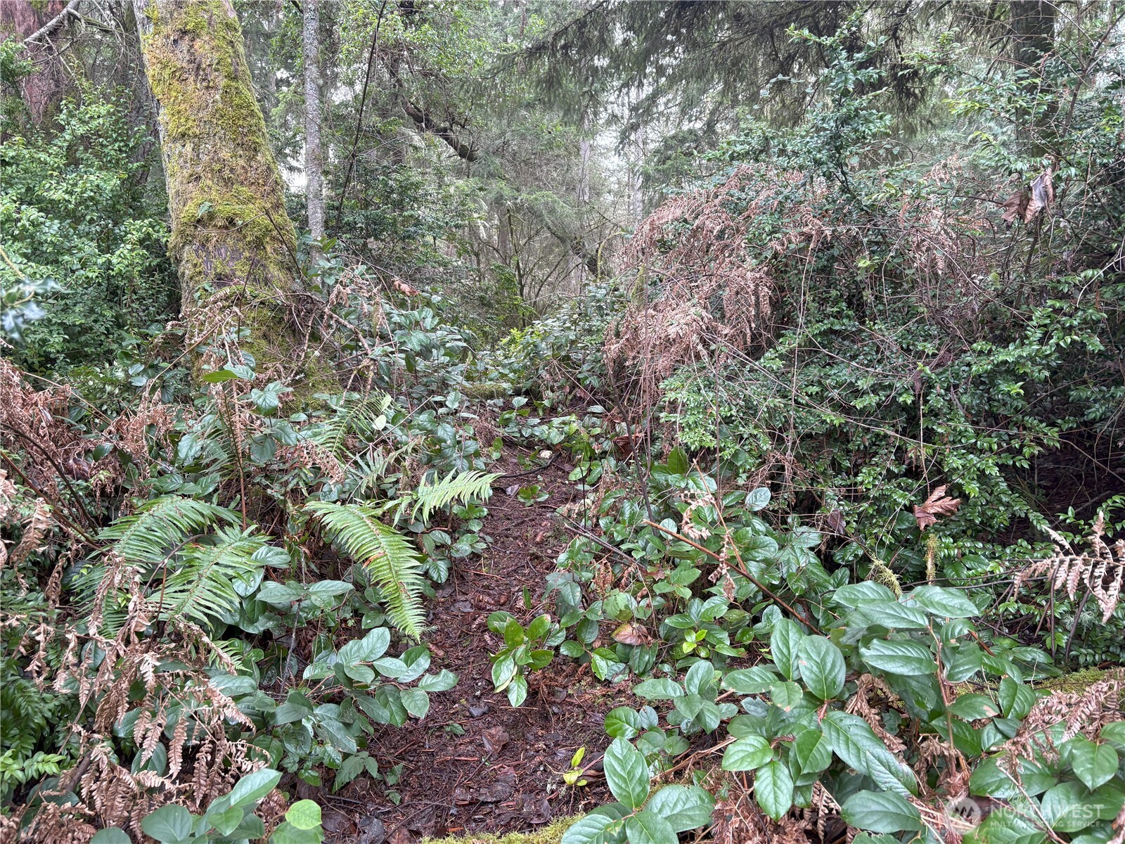 10111 Totem Way