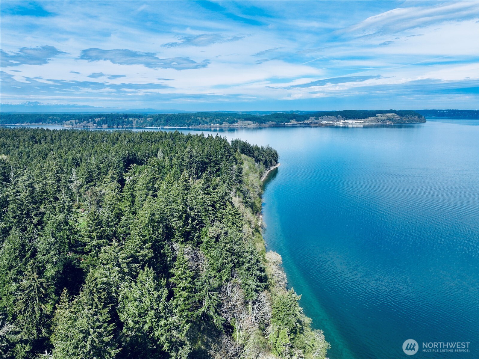 Aerial view of a forested shoreline curving along calm blue water beneath a wide, cloud-streaked sky.