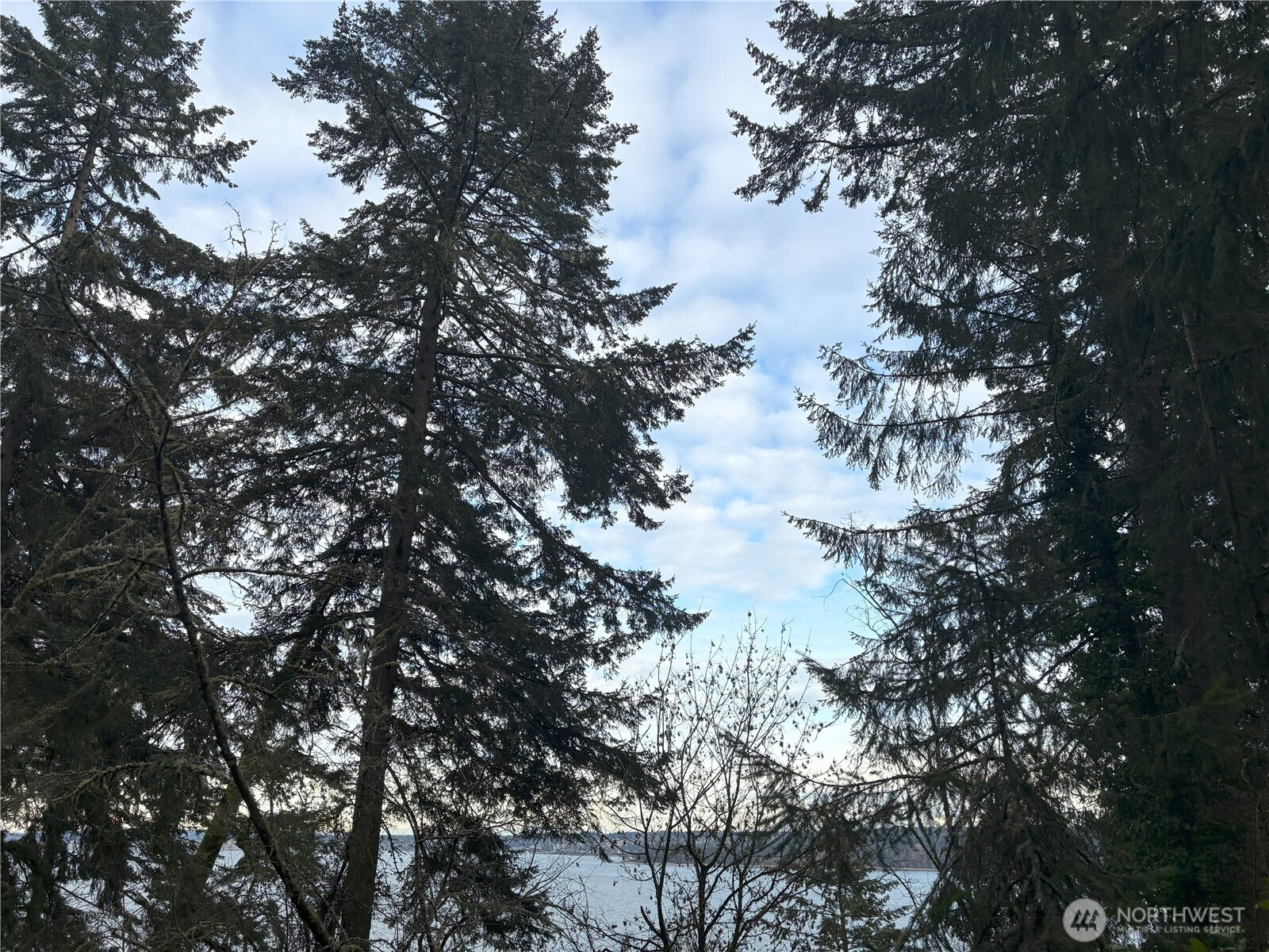 10111 Totem Way