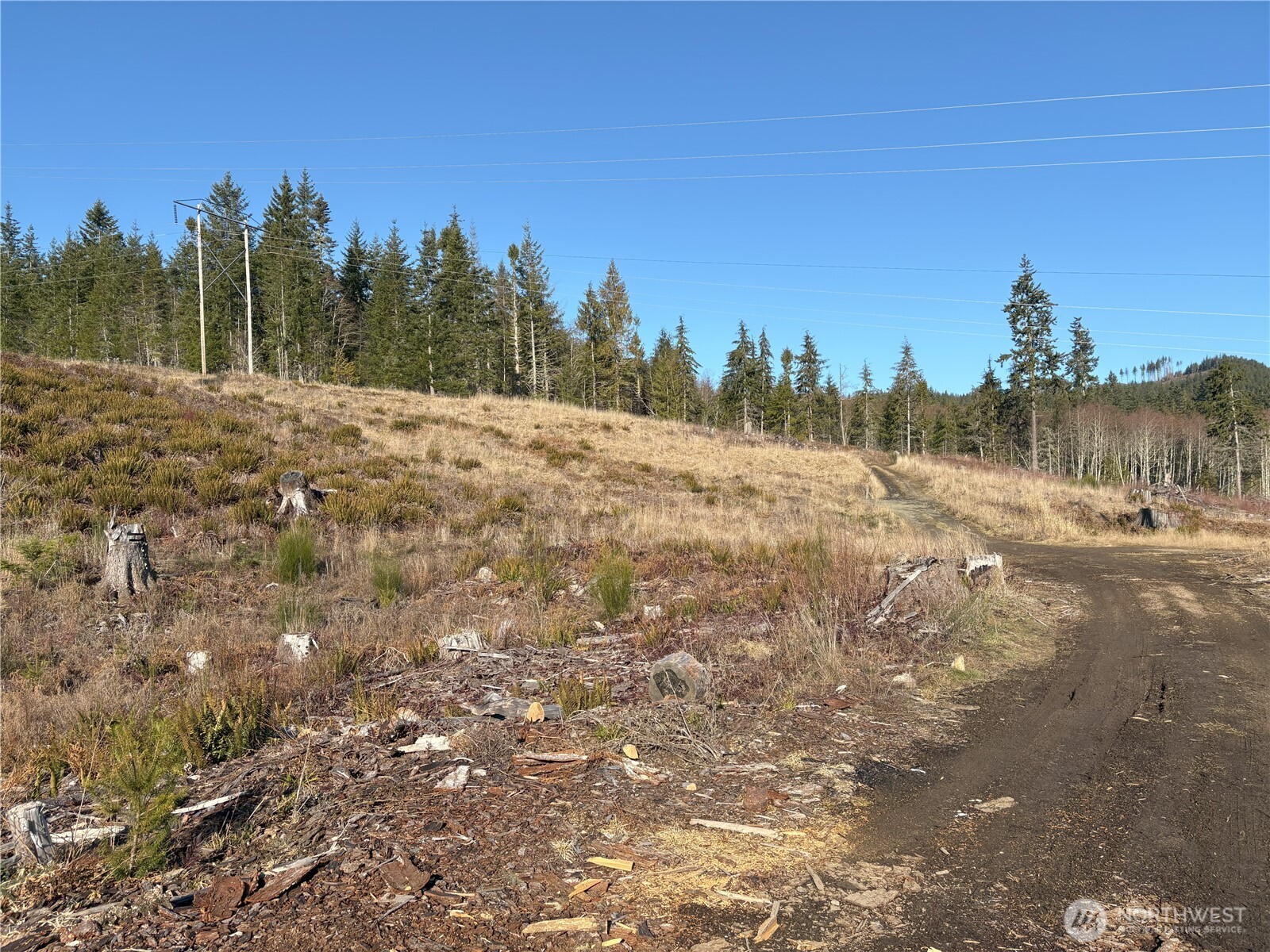 0 B-1000 Road