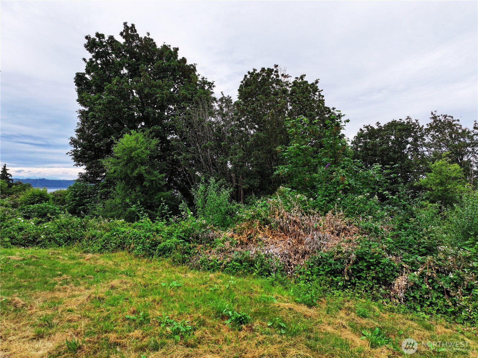 0 SW 296th St