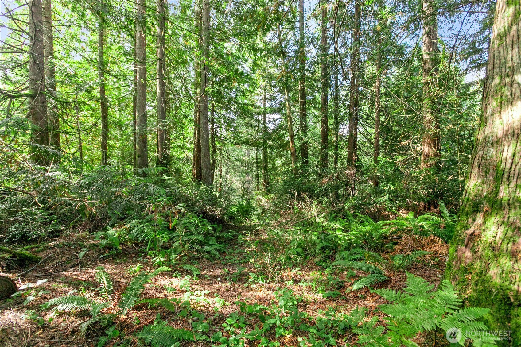 105 Peter Hagen Road NW