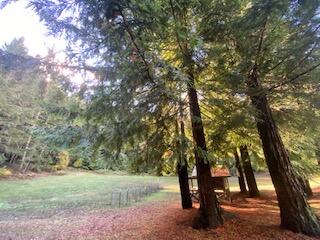 13 Little Larabee Road