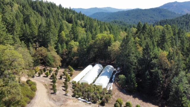 147 Acres Larabee Valley Road