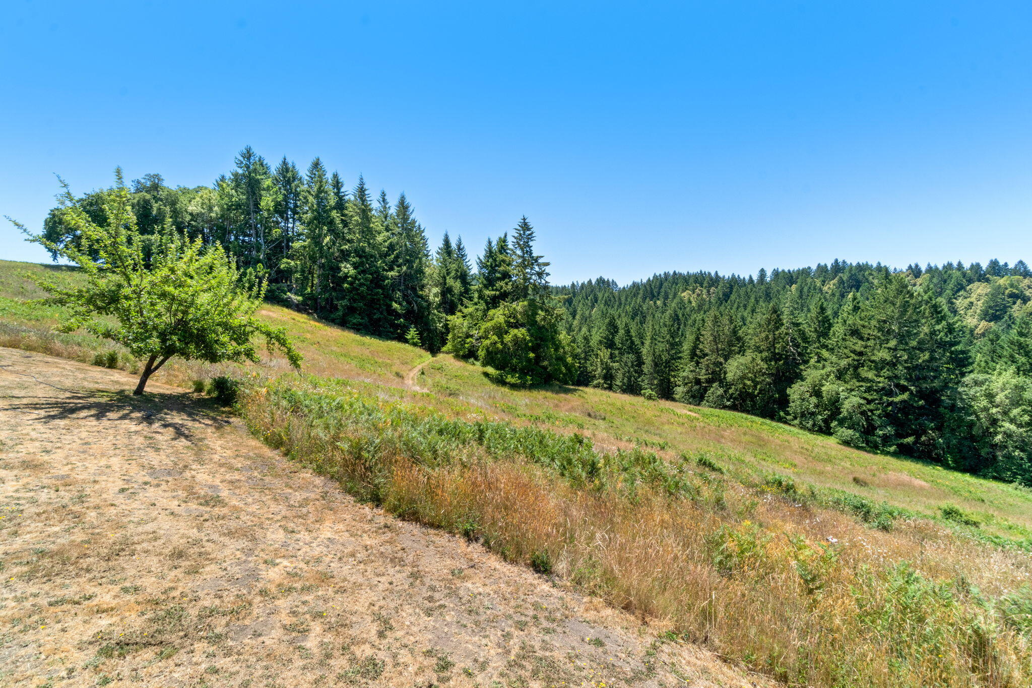 8015 Kneeland Road