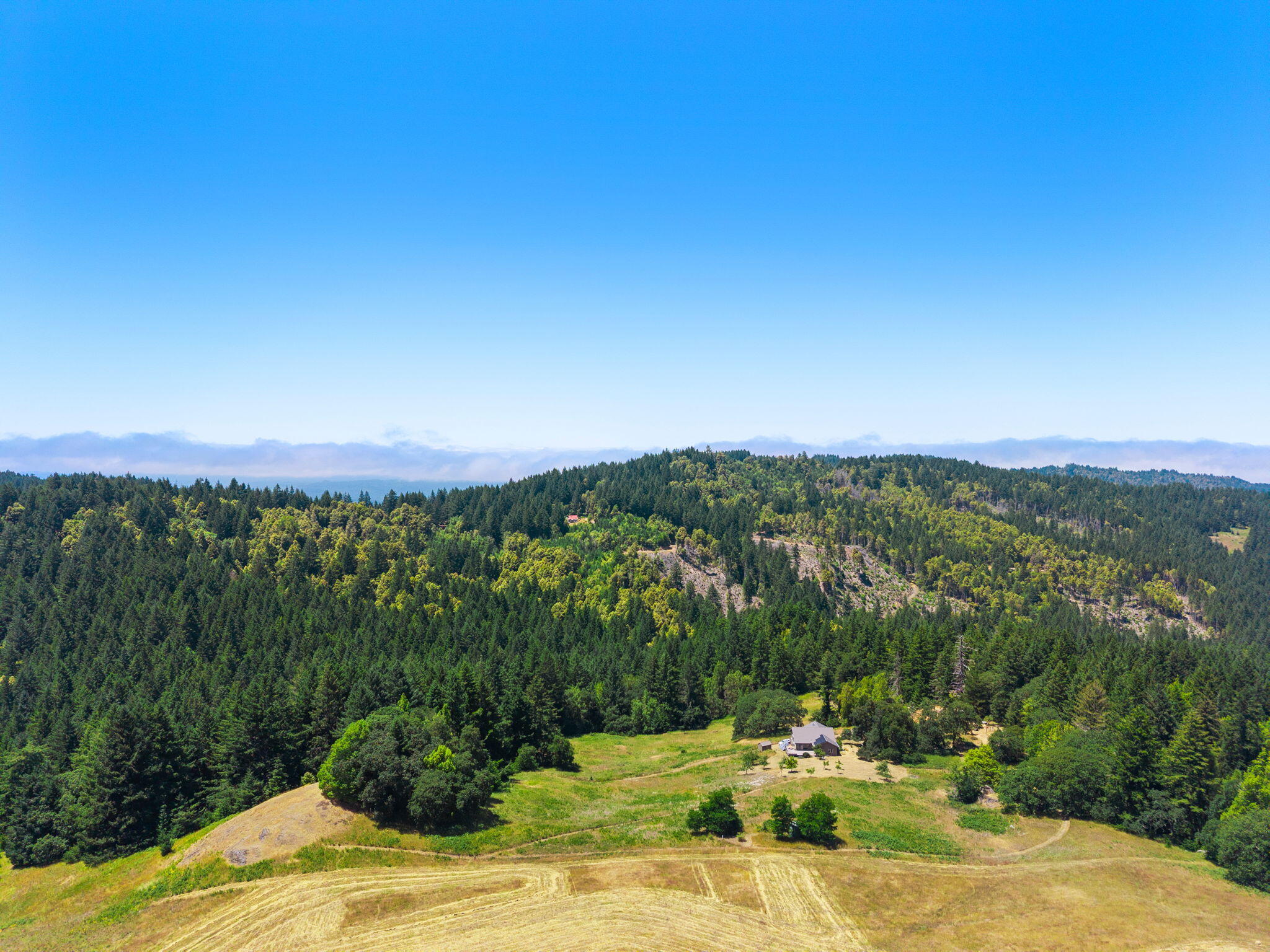 8015 Kneeland Road