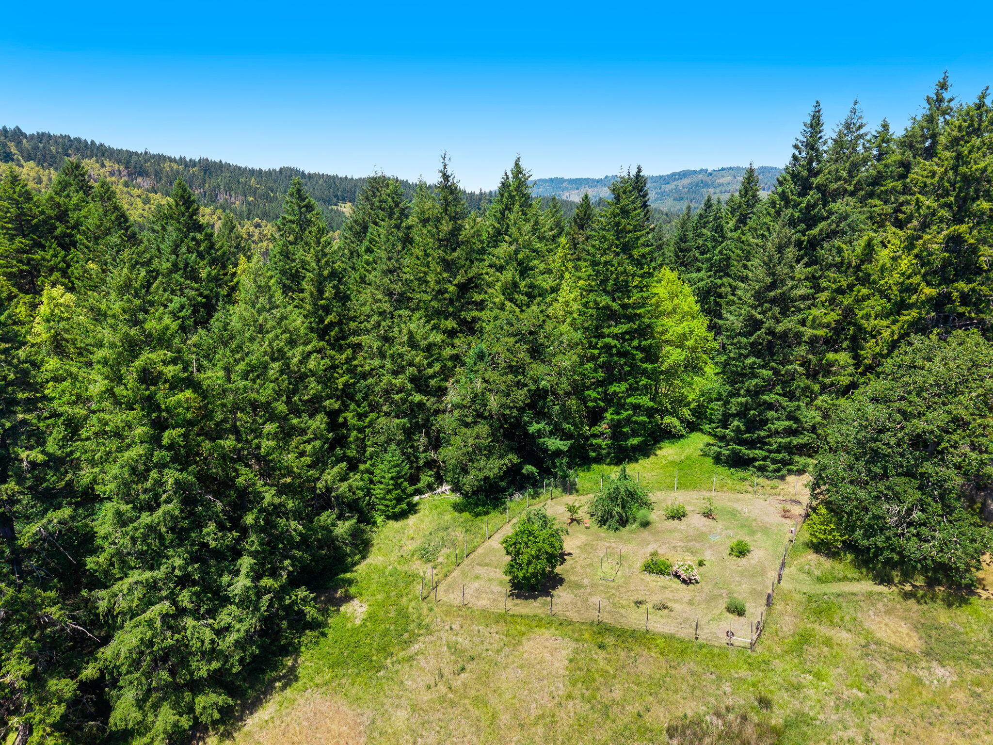 8015 Kneeland Road