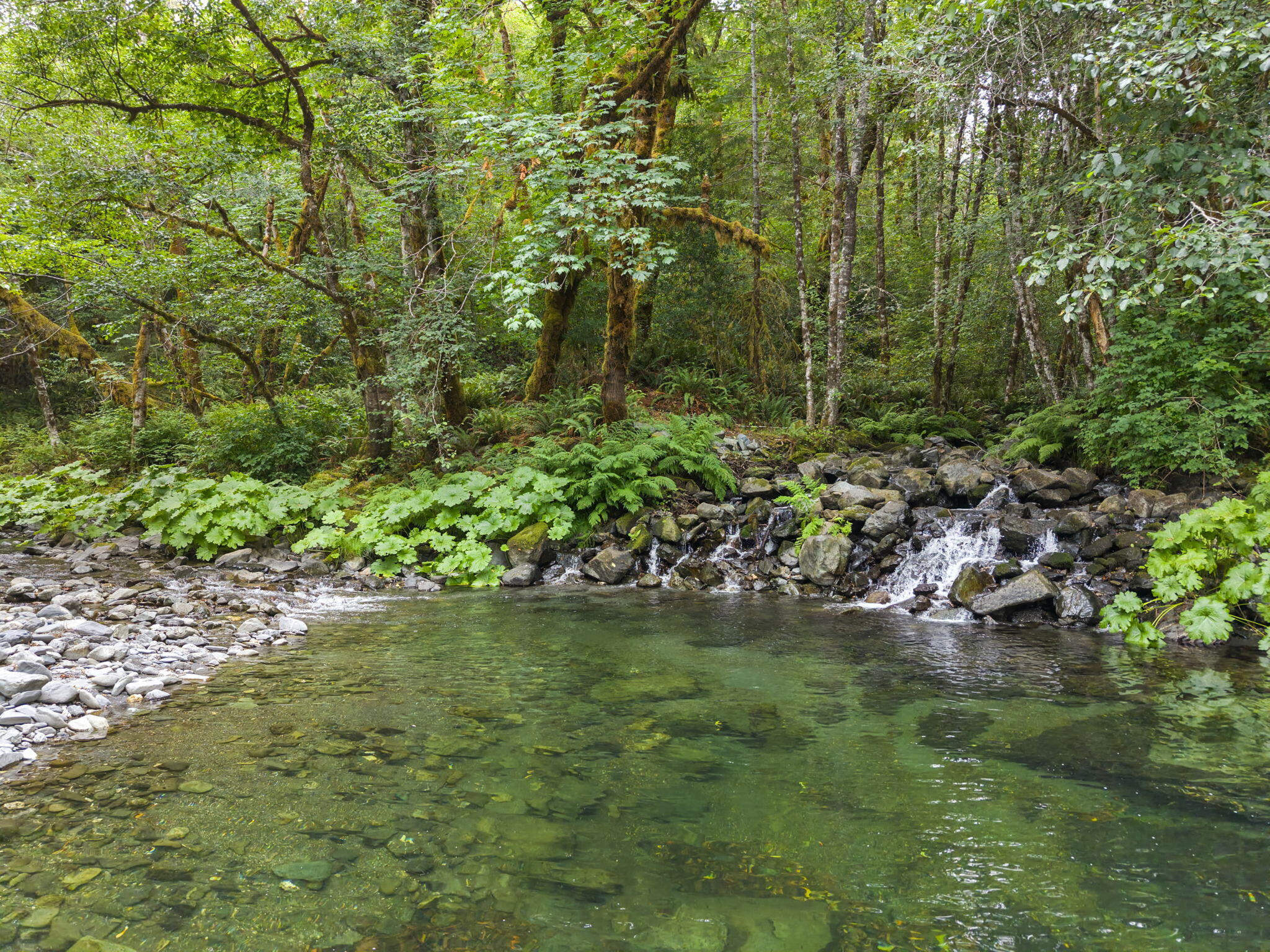 22280 Hwy 299 299