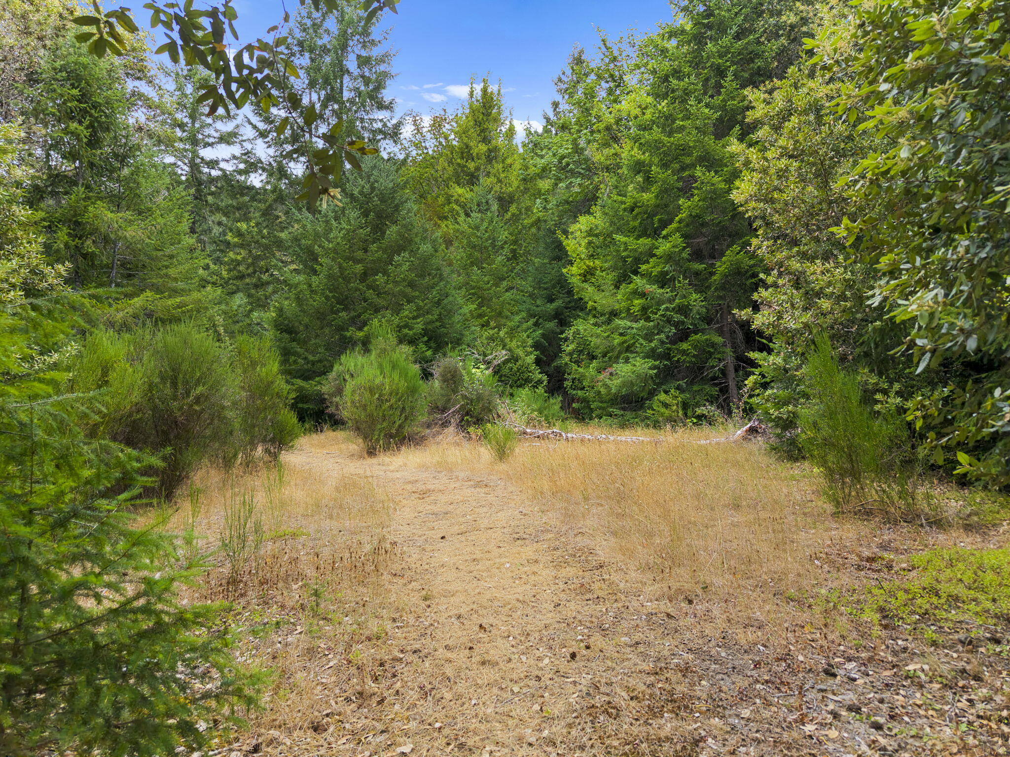22280 Hwy 299 299