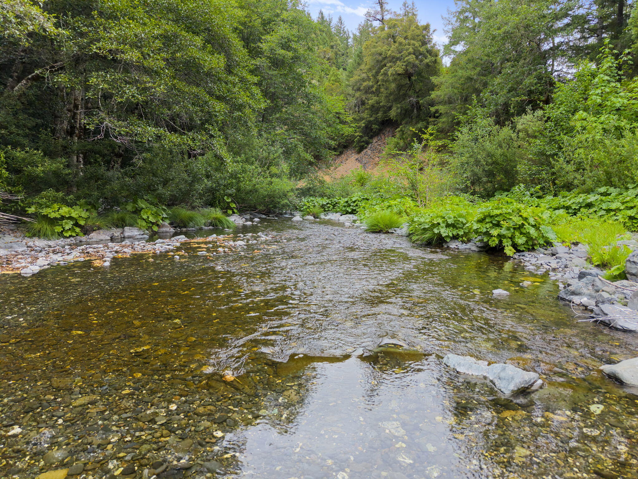 22280 Hwy 299 299