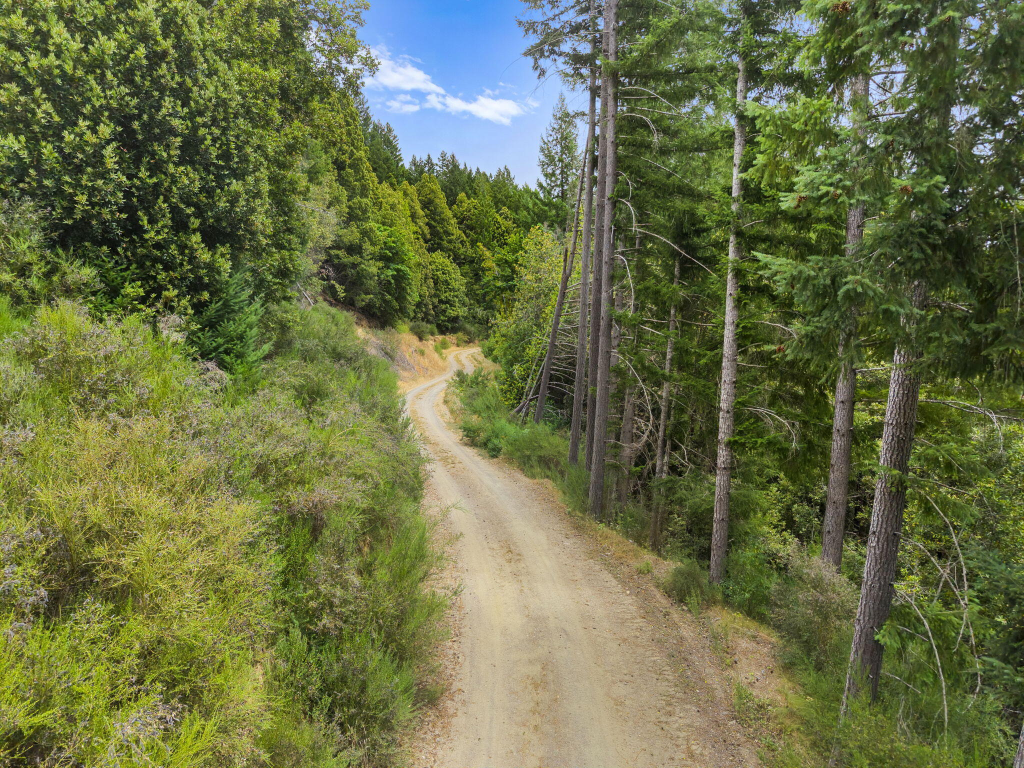 22280 Hwy 299 299