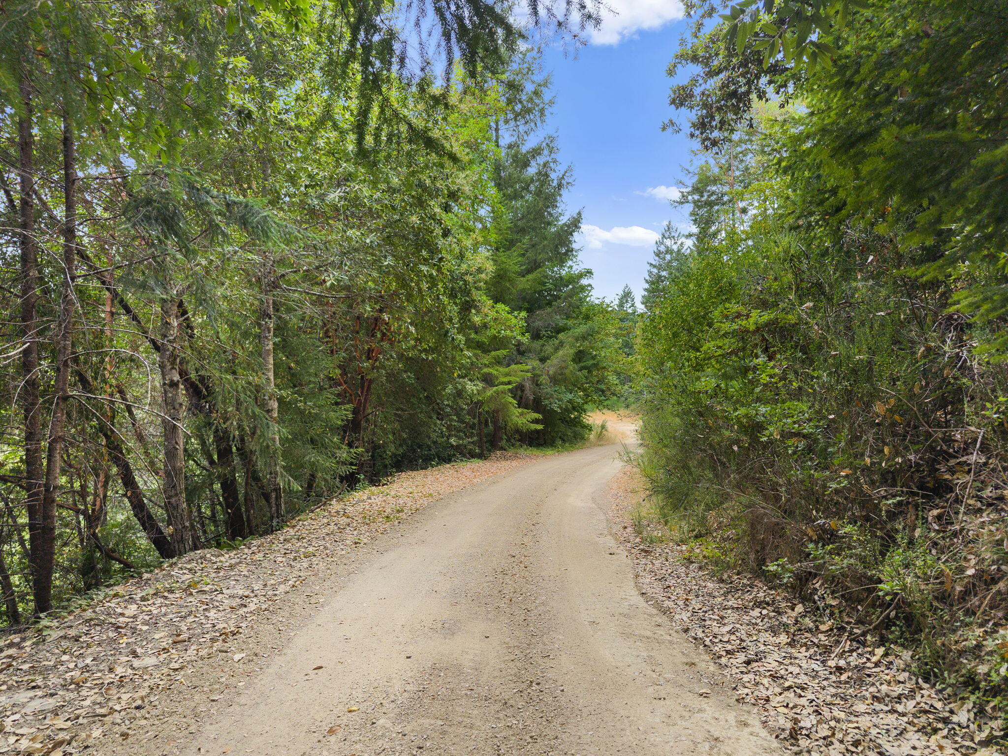 22280 Hwy 299 299