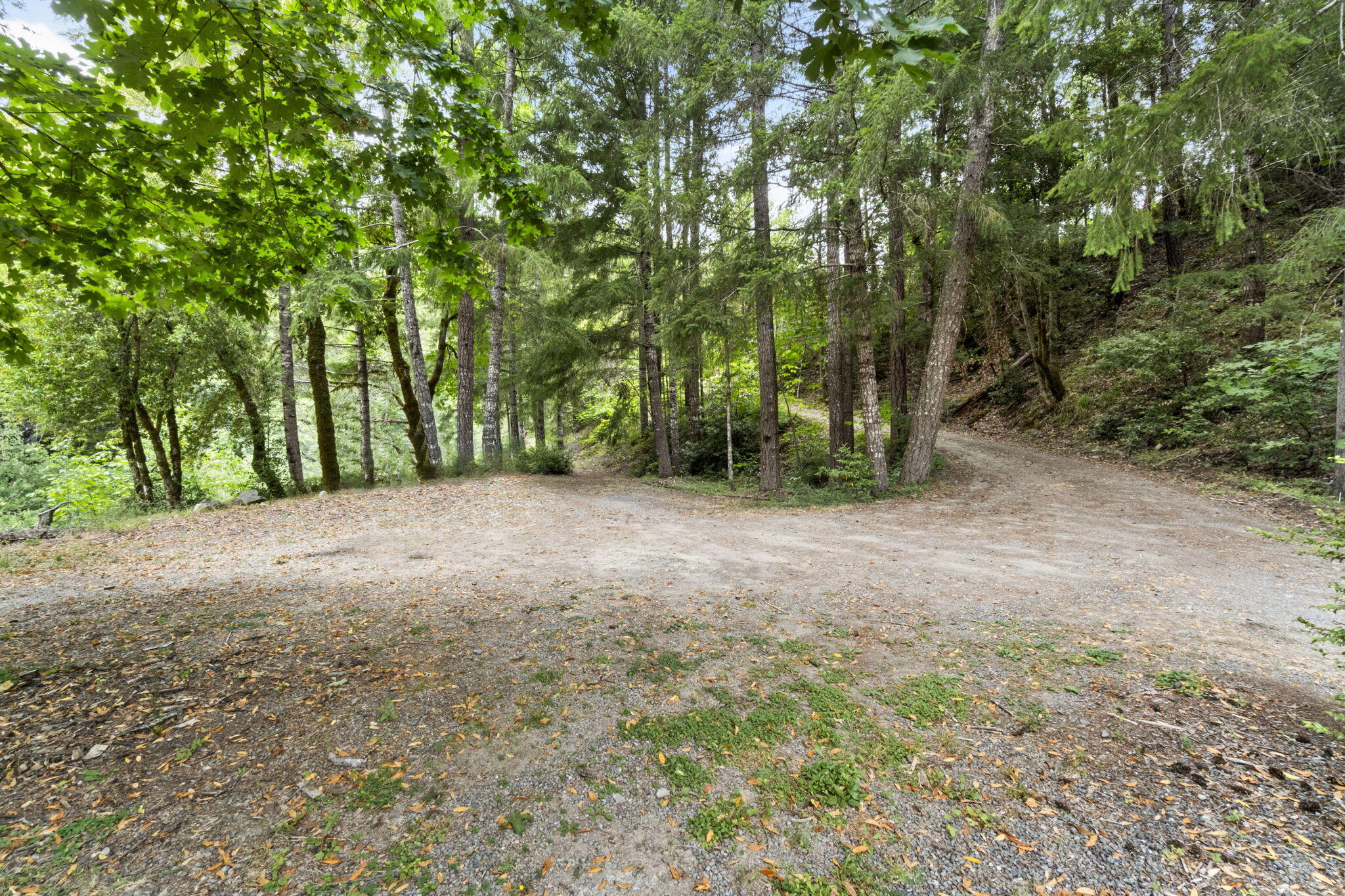 22280 Hwy 299 299