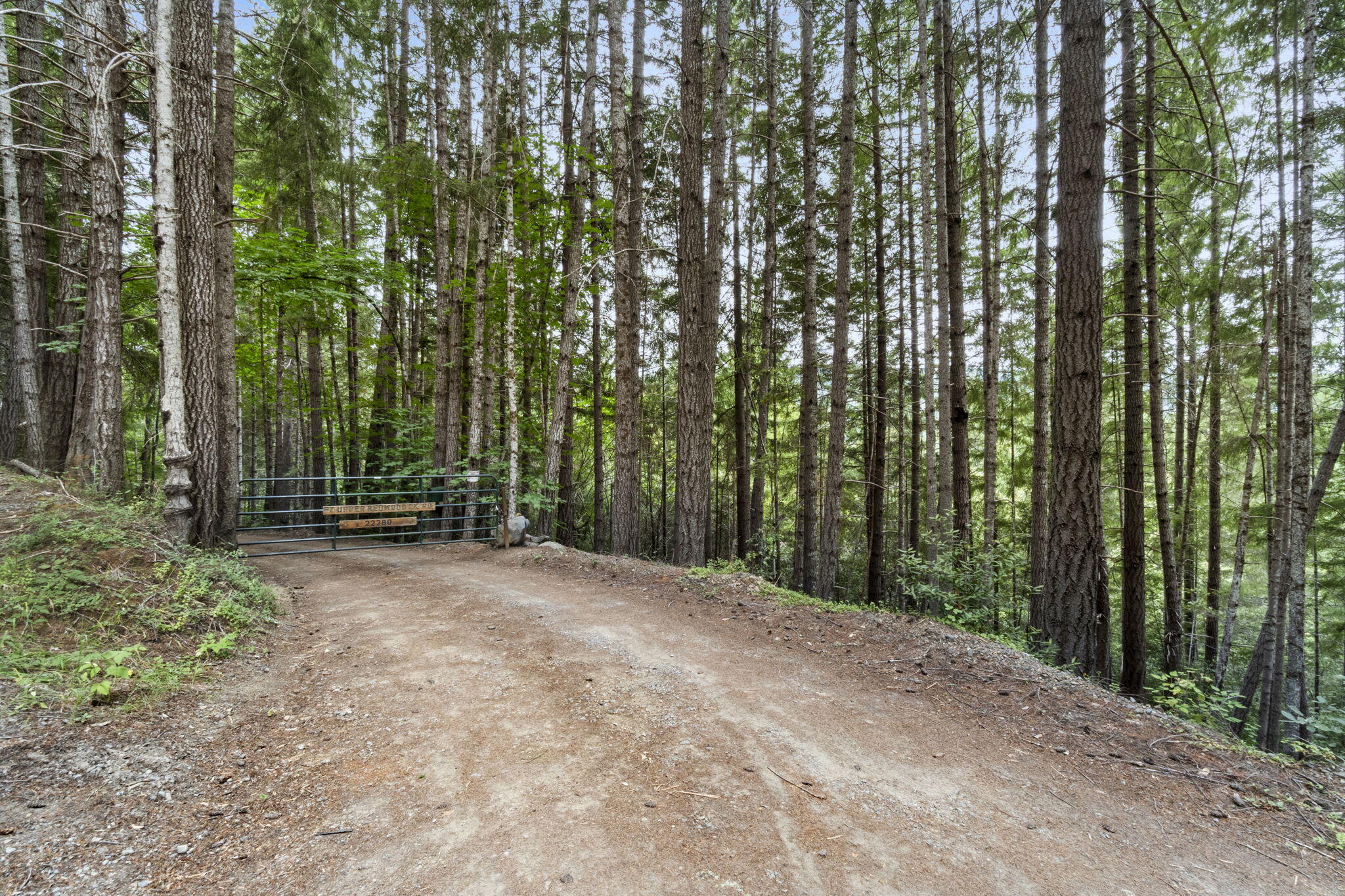 22280 Hwy 299 299