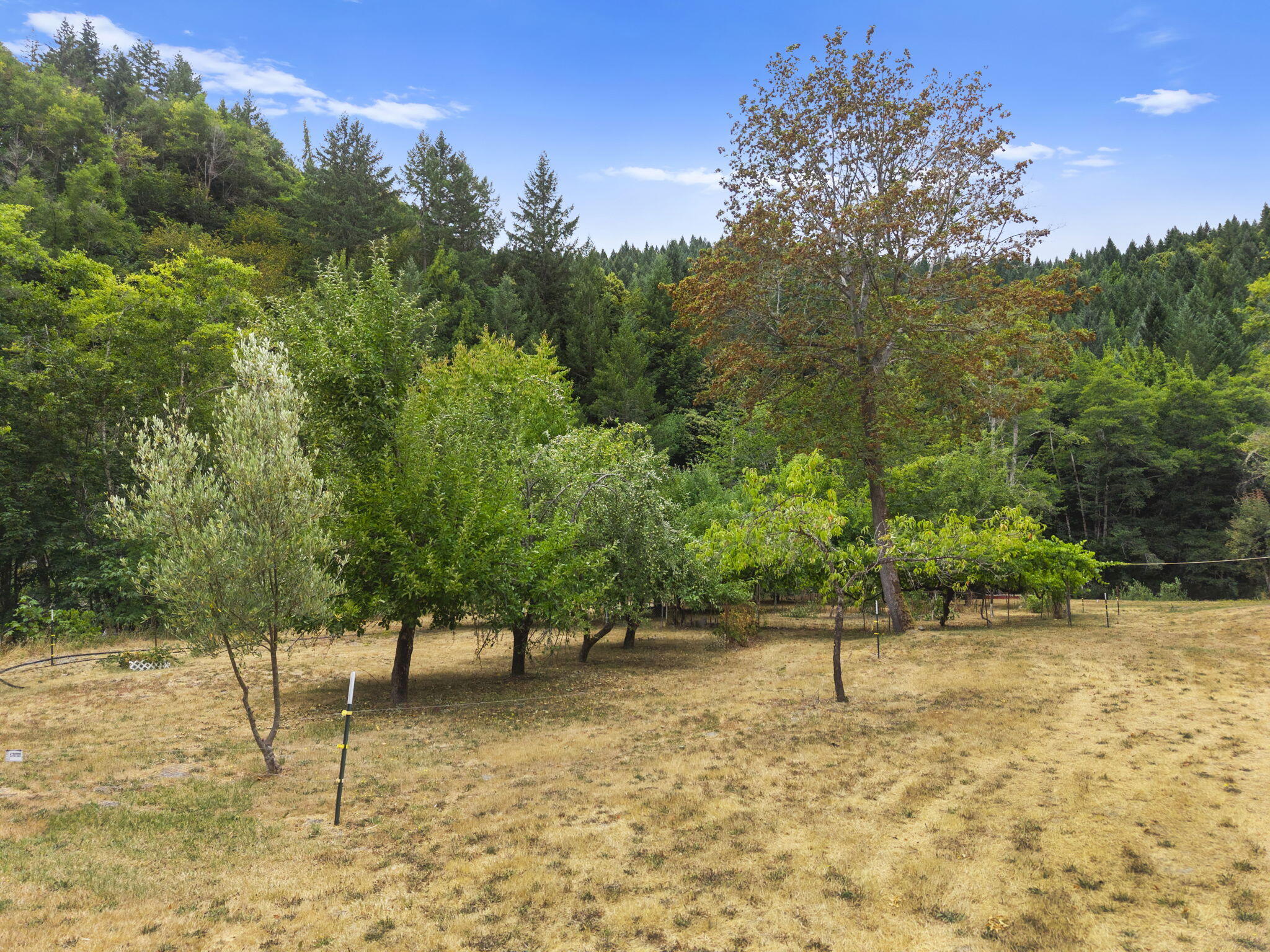 22280 Hwy 299 299