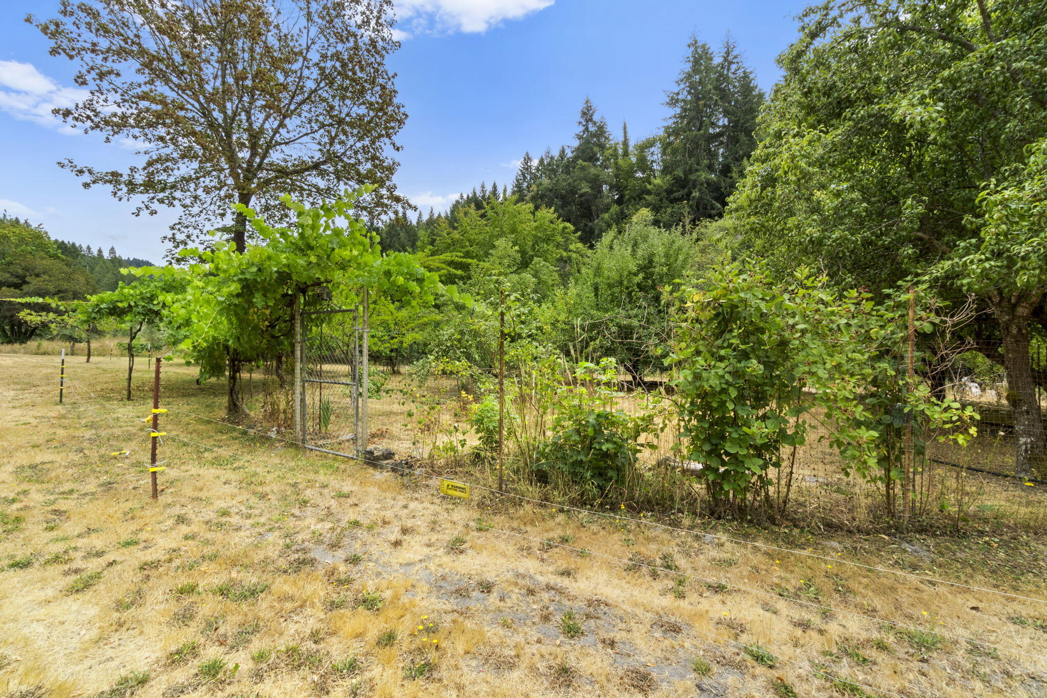 22280 Hwy 299 299
