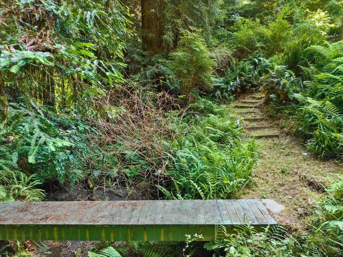 3253 Greenwood Heights Drive