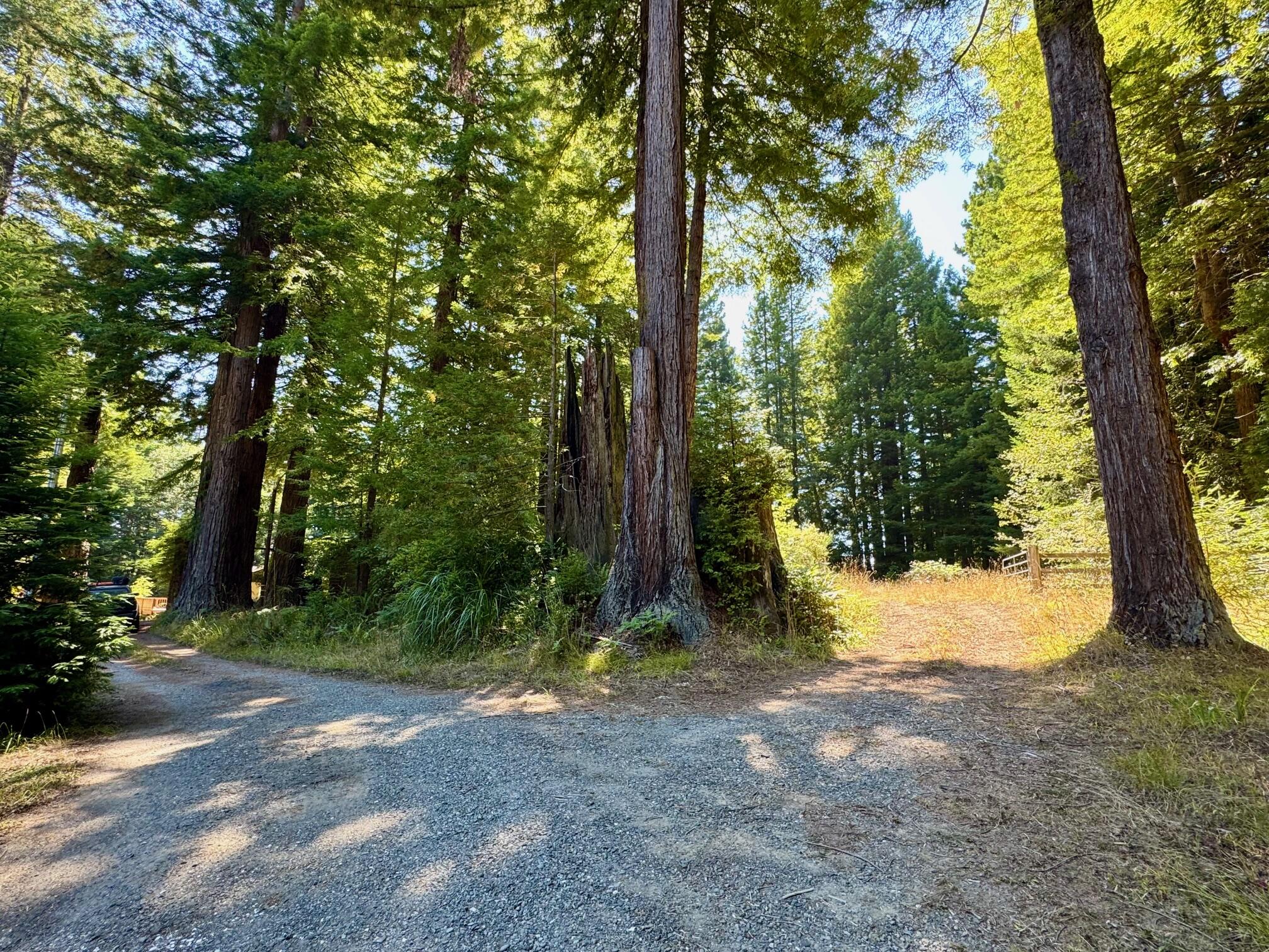 3639 Greenwood Heights Drive