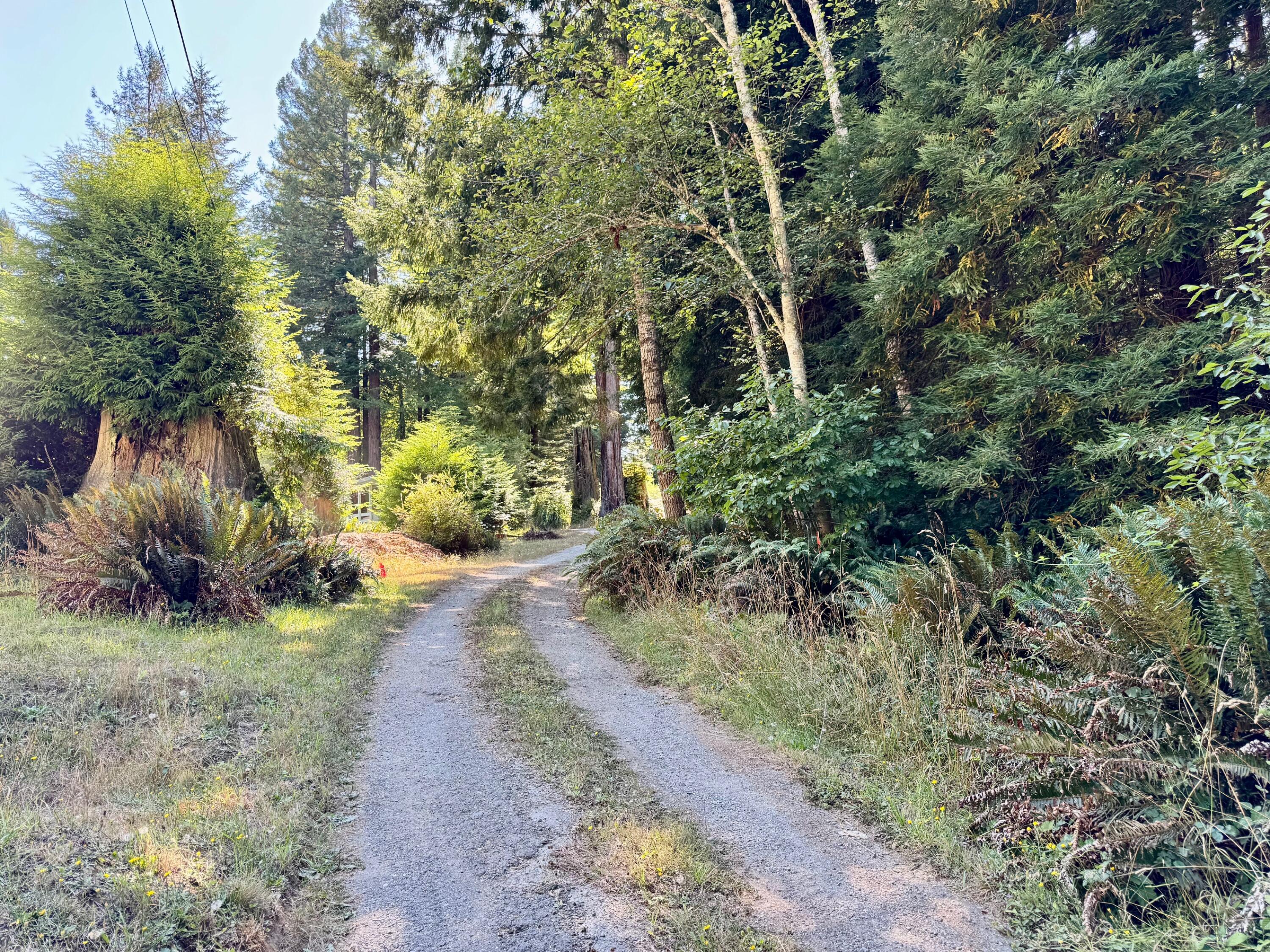 3639 Greenwood Heights Drive