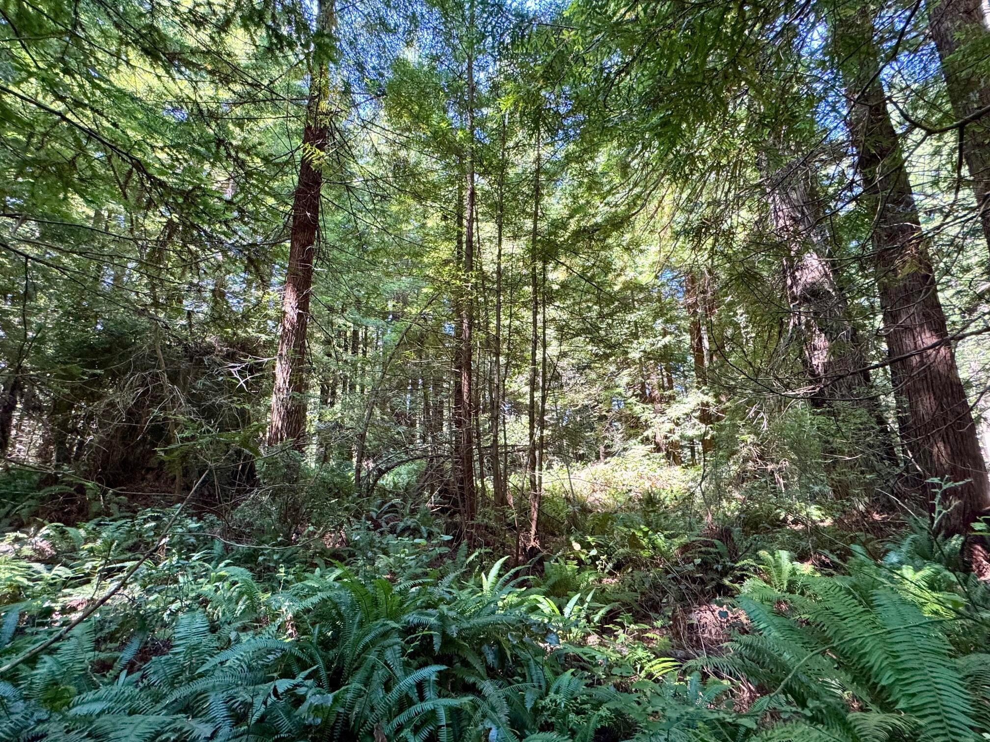 3639 Greenwood Heights Drive
